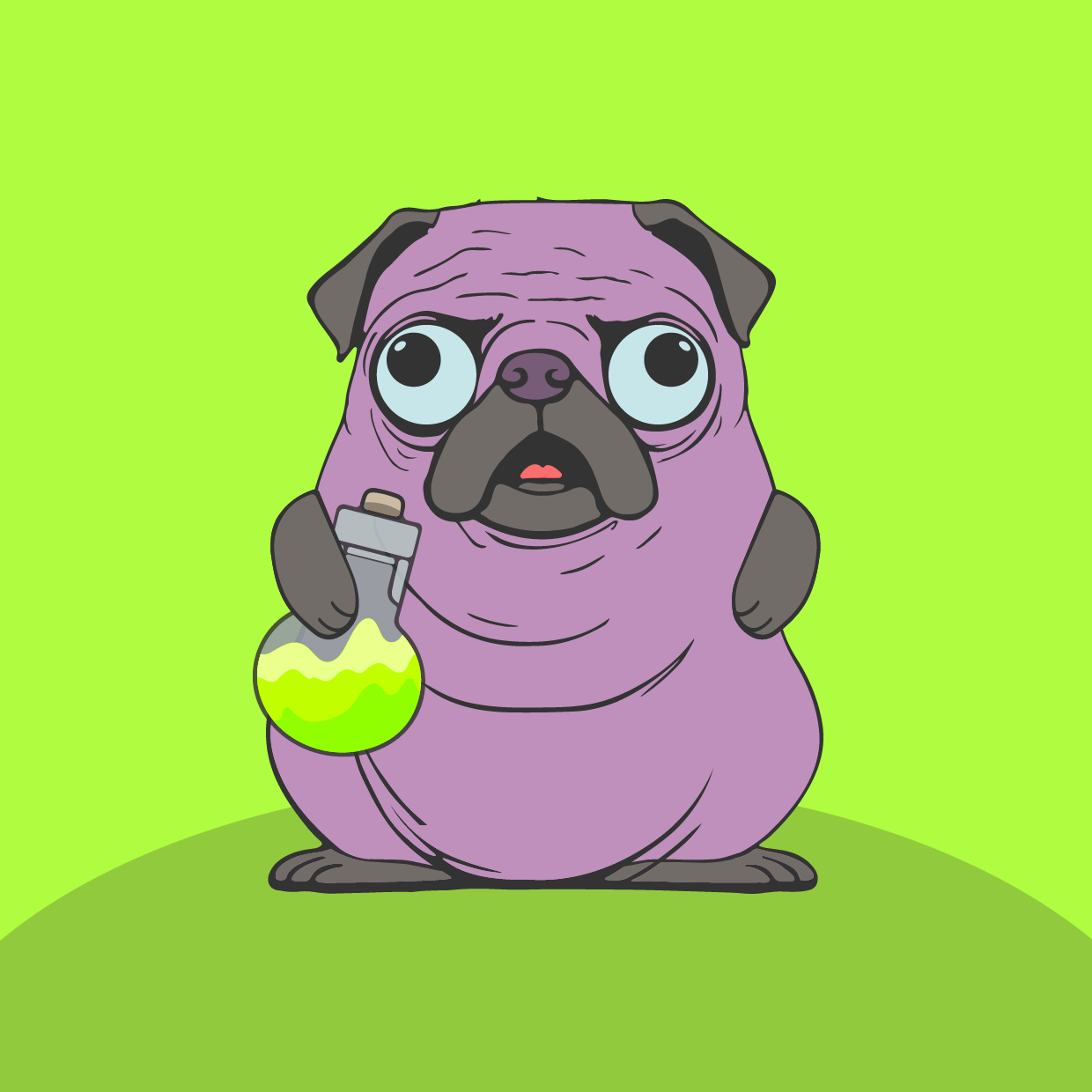 HAPPY HOOMENS DOG #81 NFT on Algorand