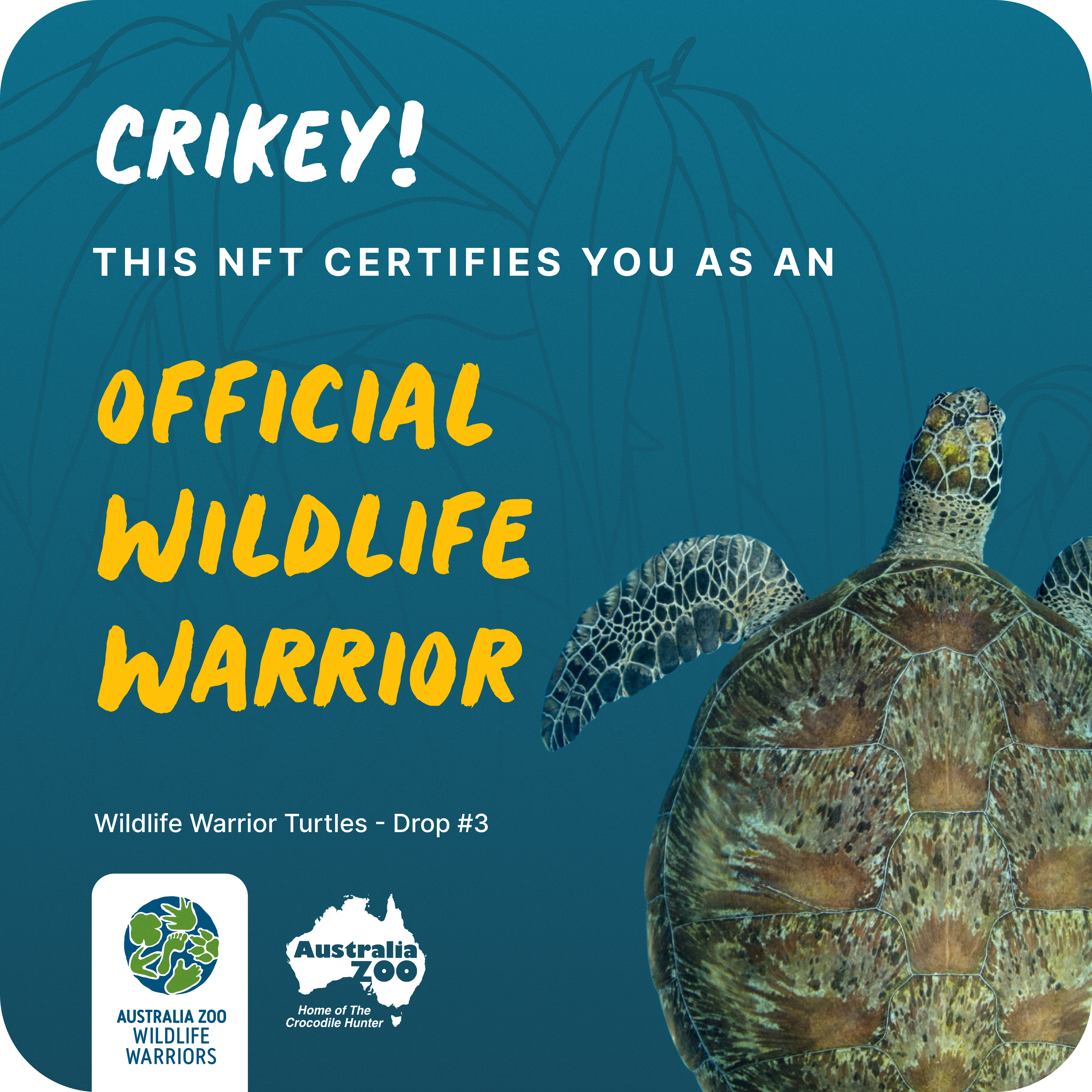 Official WW Turtle Holder #3 NFT on Algorand