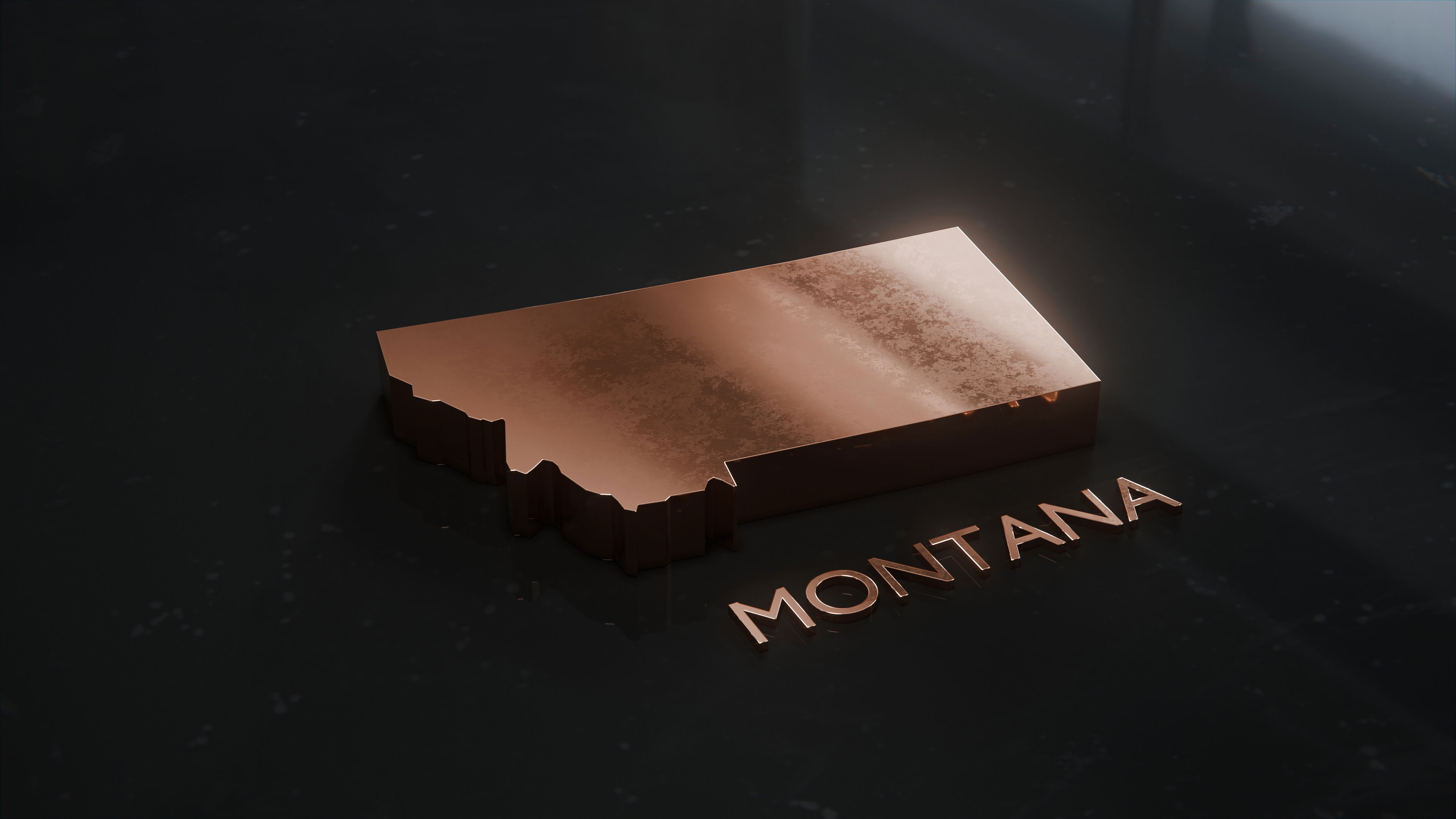 Montana Bronze icon