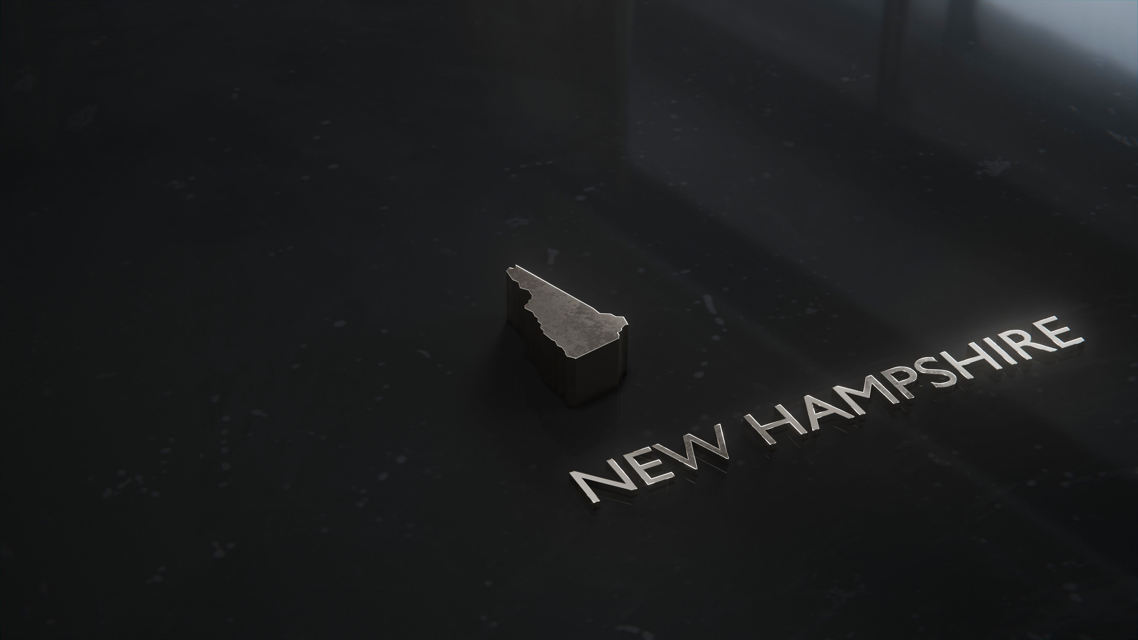 New Hampshire Silver icon