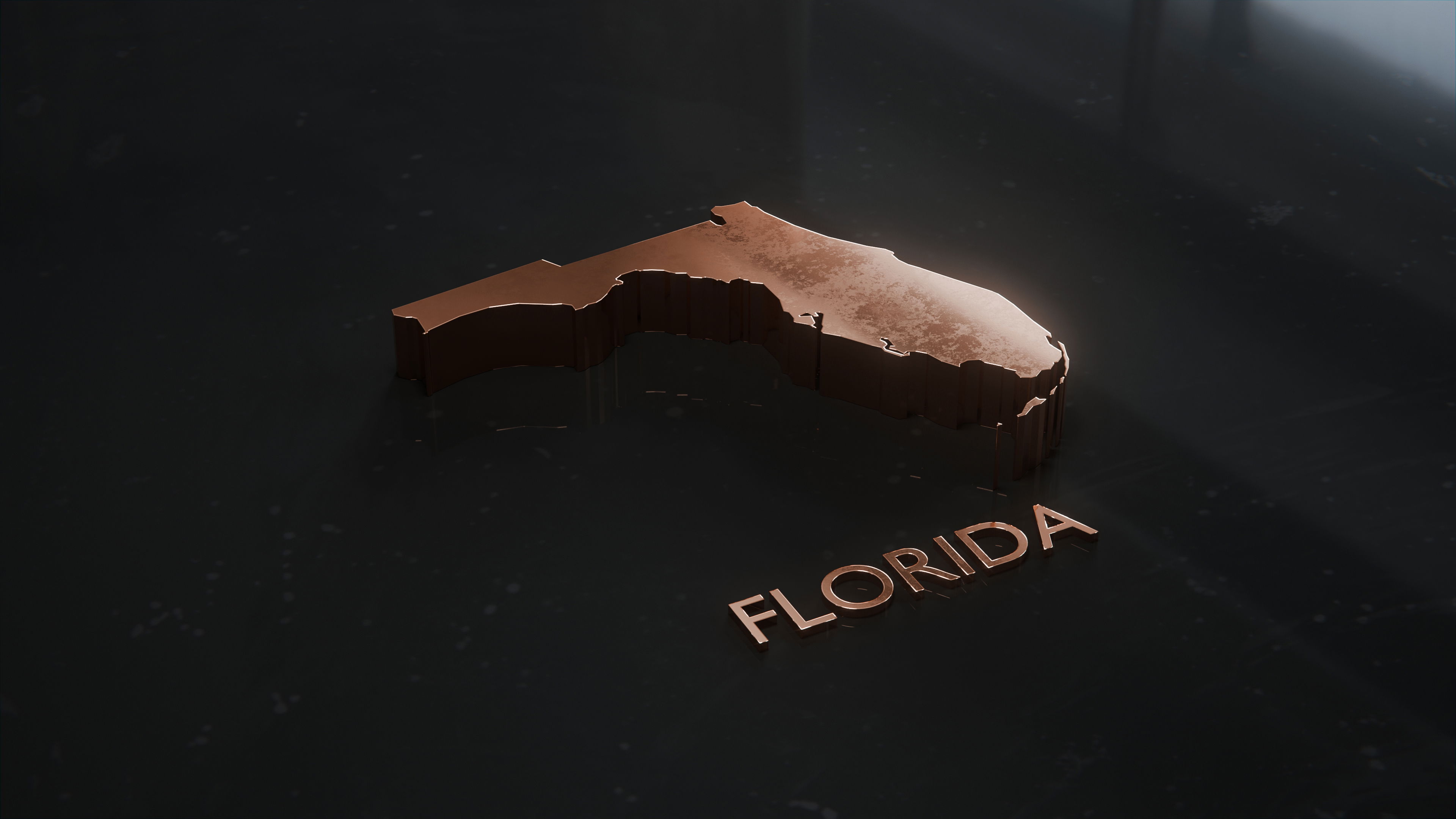 Florida Bronze icon