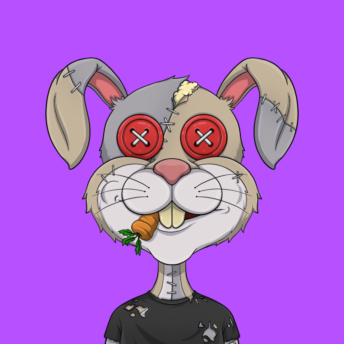Addict Rabbit Gang 1609 NFT on Algorand