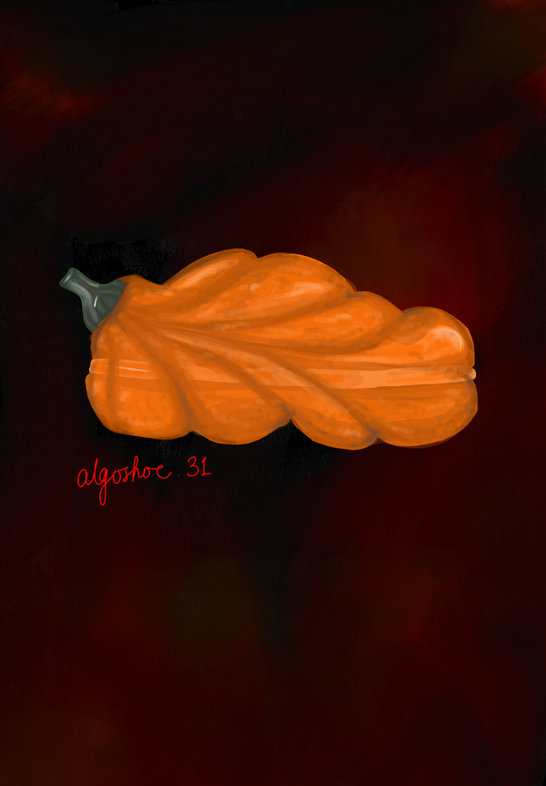 An image of AlgoShoe31 Exotic PUMPkin Shoe