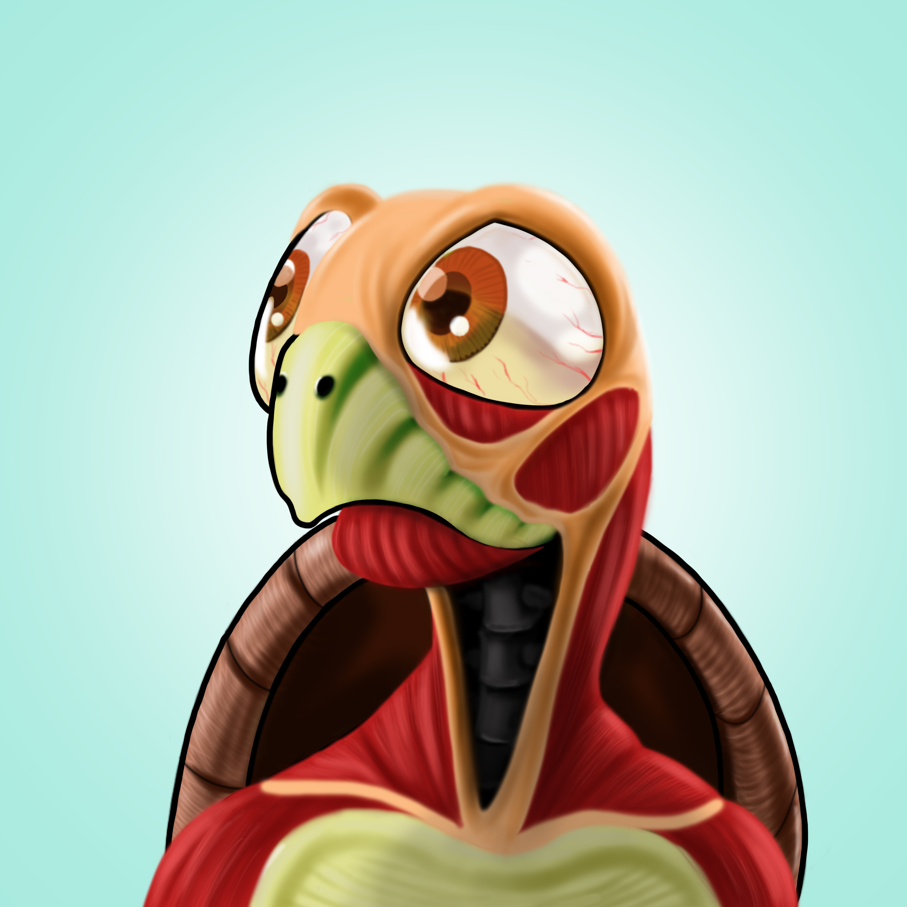 ALGOTURTLES COSPLAY BILL - 29 NFT on Algorand