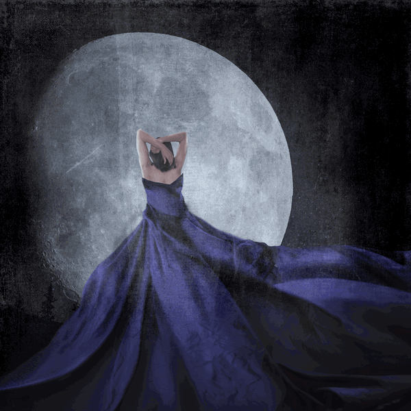 An image of Blue Moon Dreams