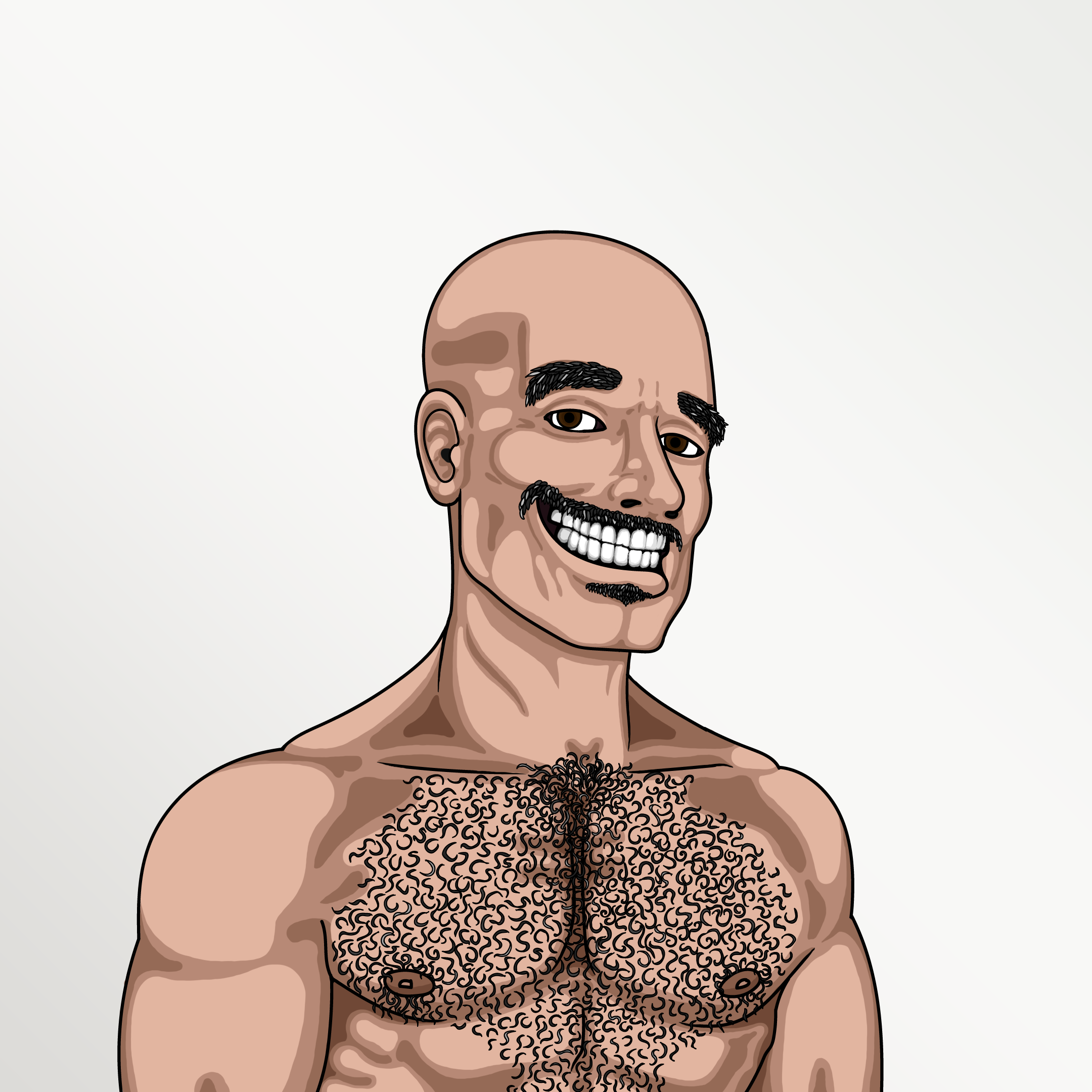 Coop #13 NFT on Algorand