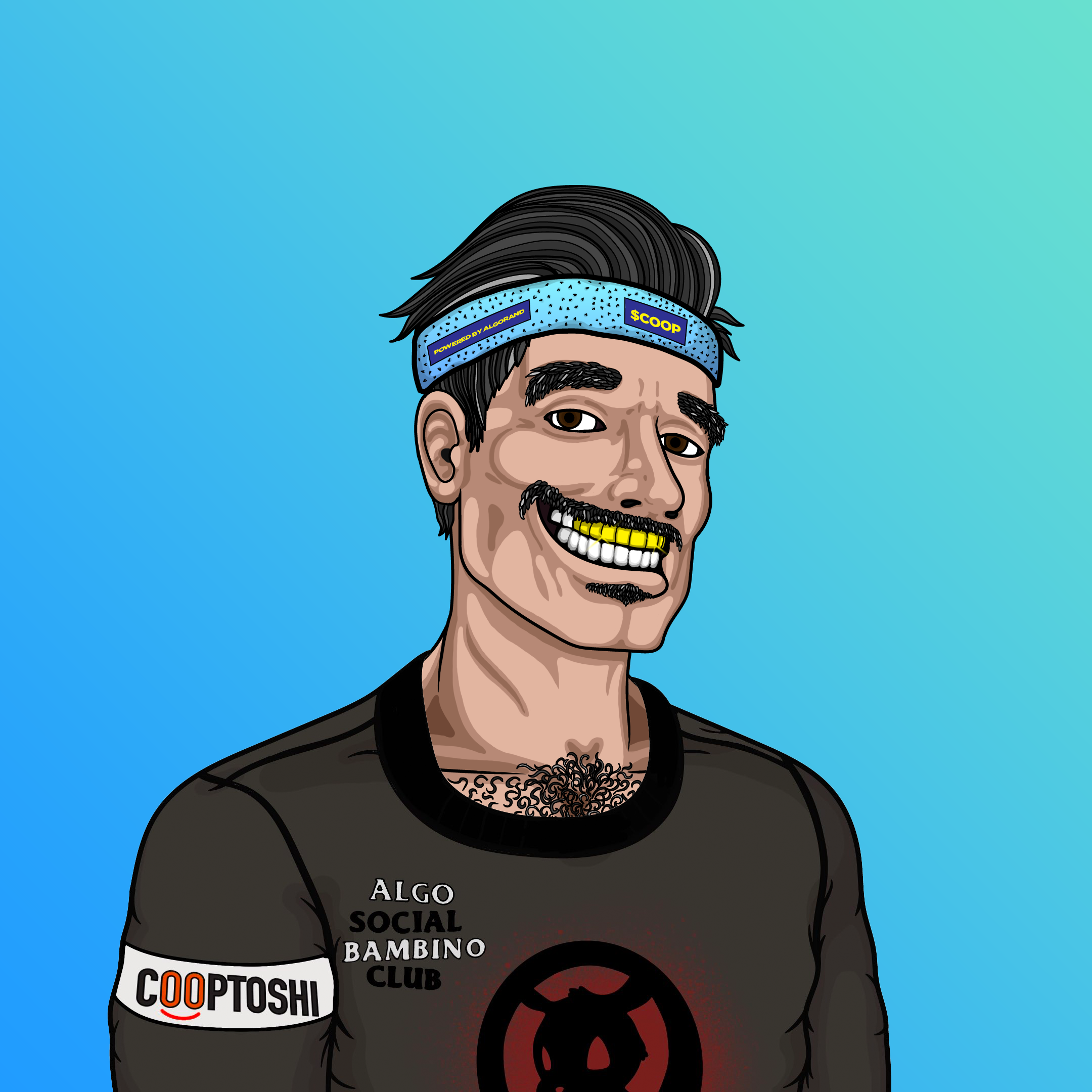 Coop #330 NFT on Algorand