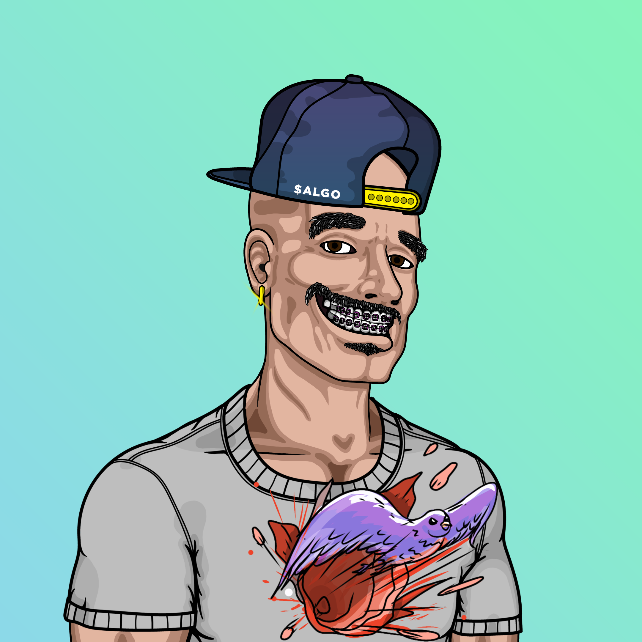 Coop #343 NFT on Algorand