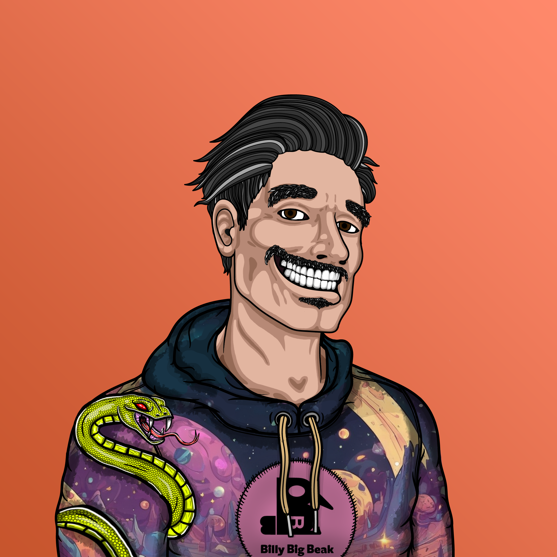 Coop #347 NFT on Algorand