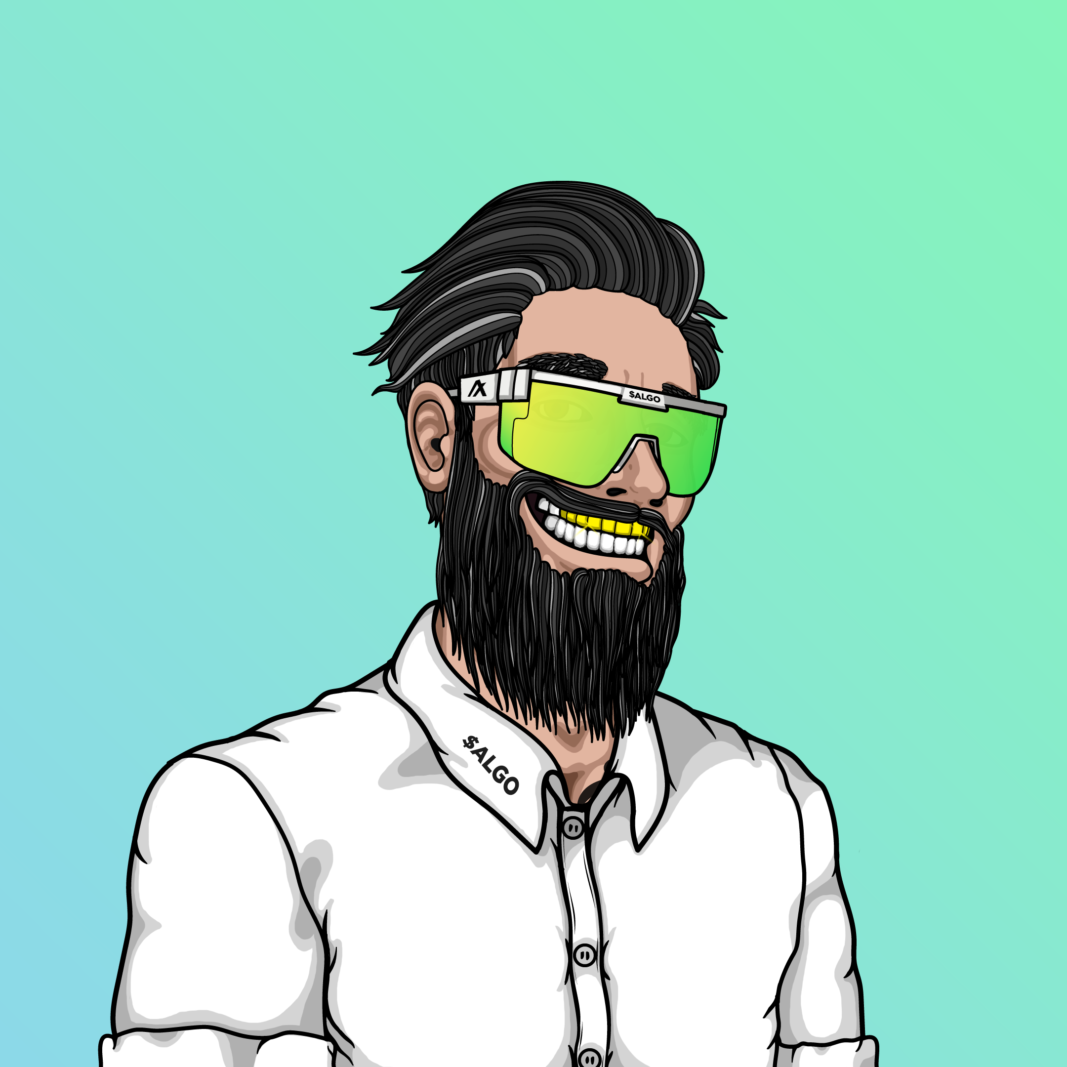 Coop #480 NFT on Algorand