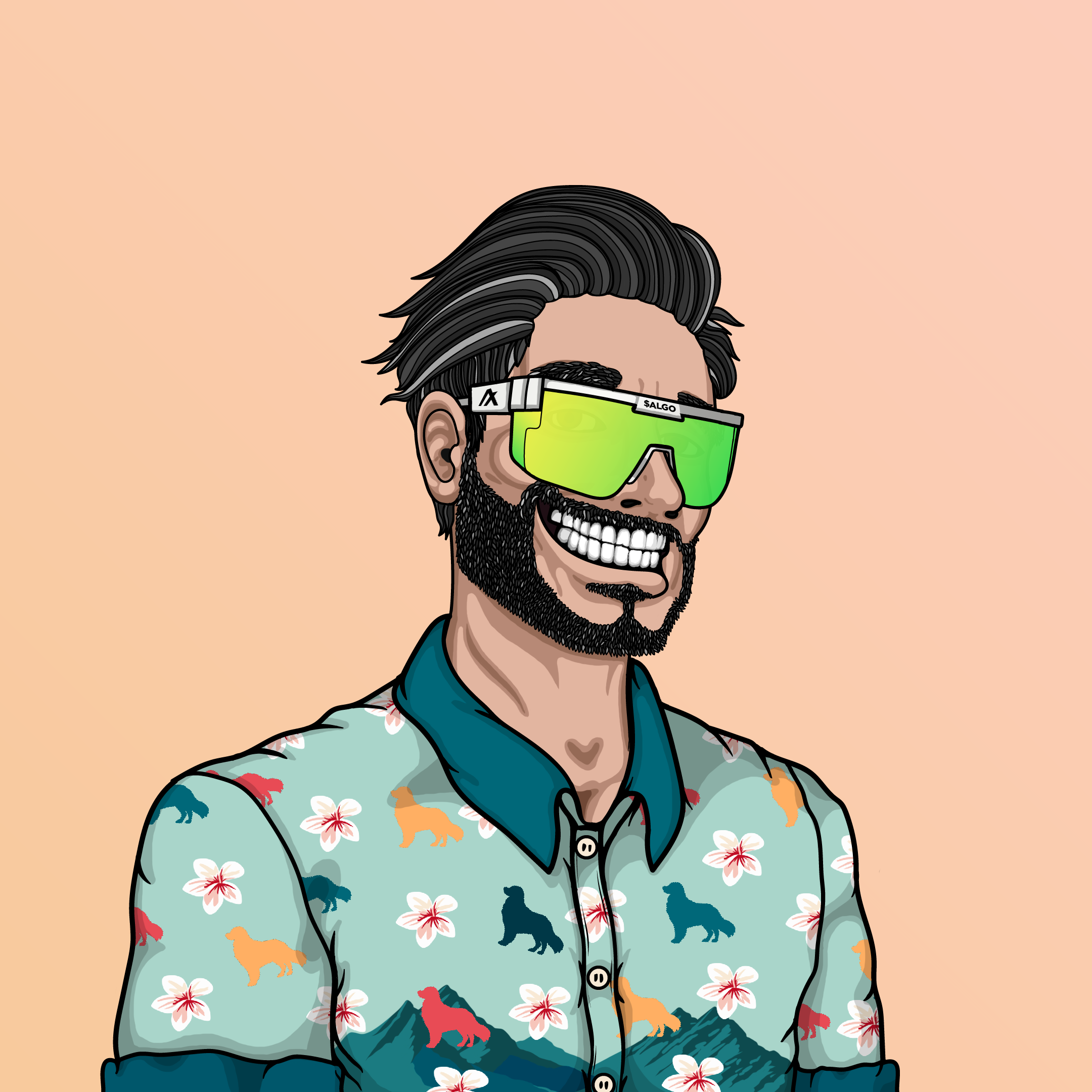 Coop #534 NFT on Algorand