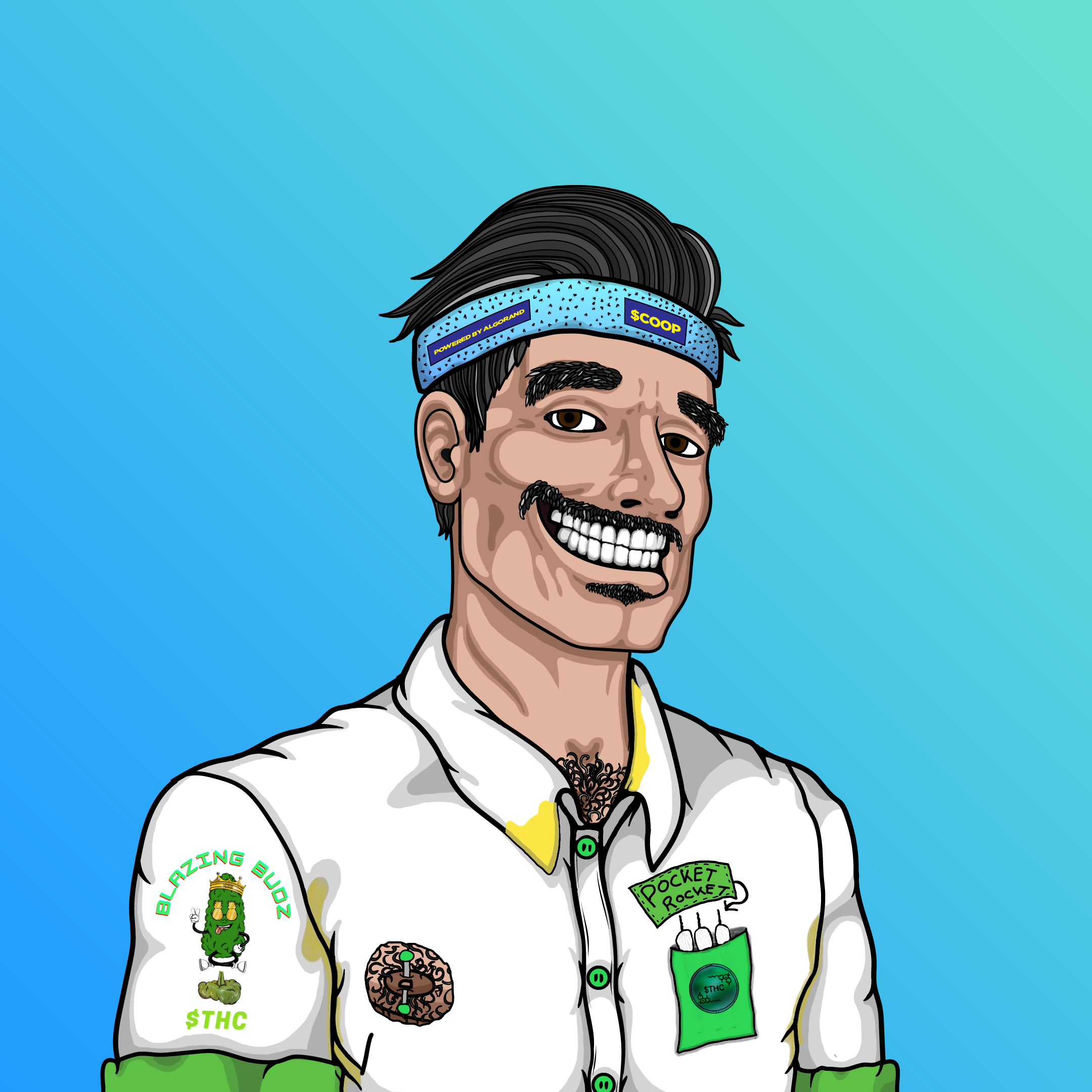 Coop #580 NFT on Algorand