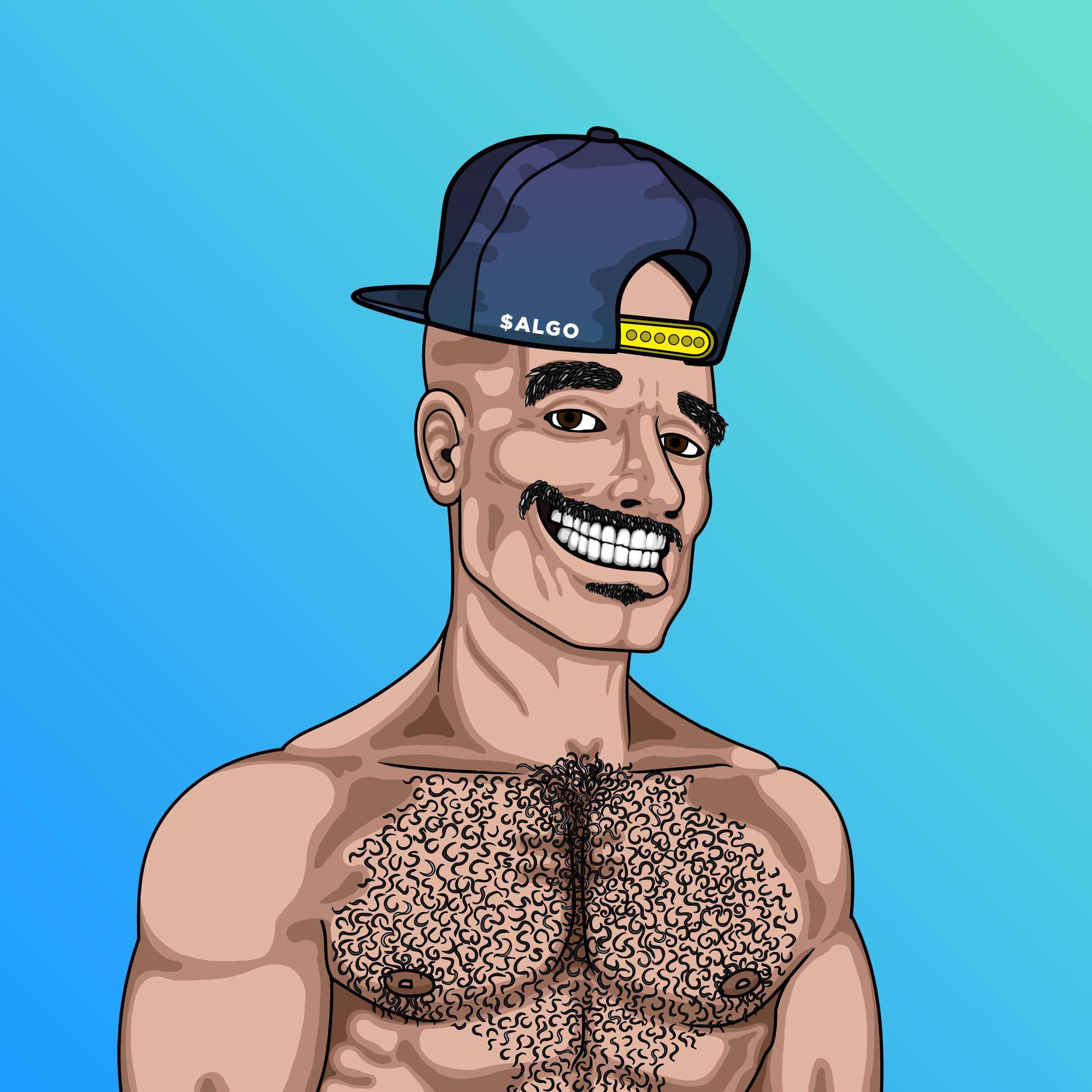 Coop #855 NFT on Algorand