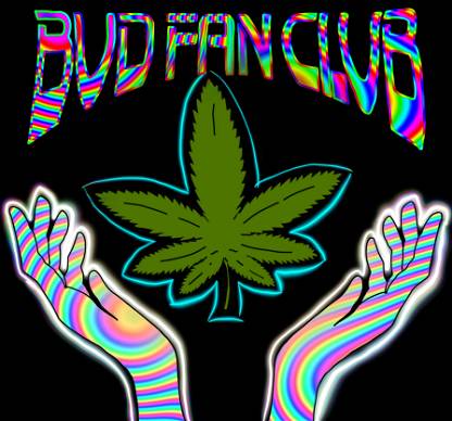 Bud Fan Club #2
