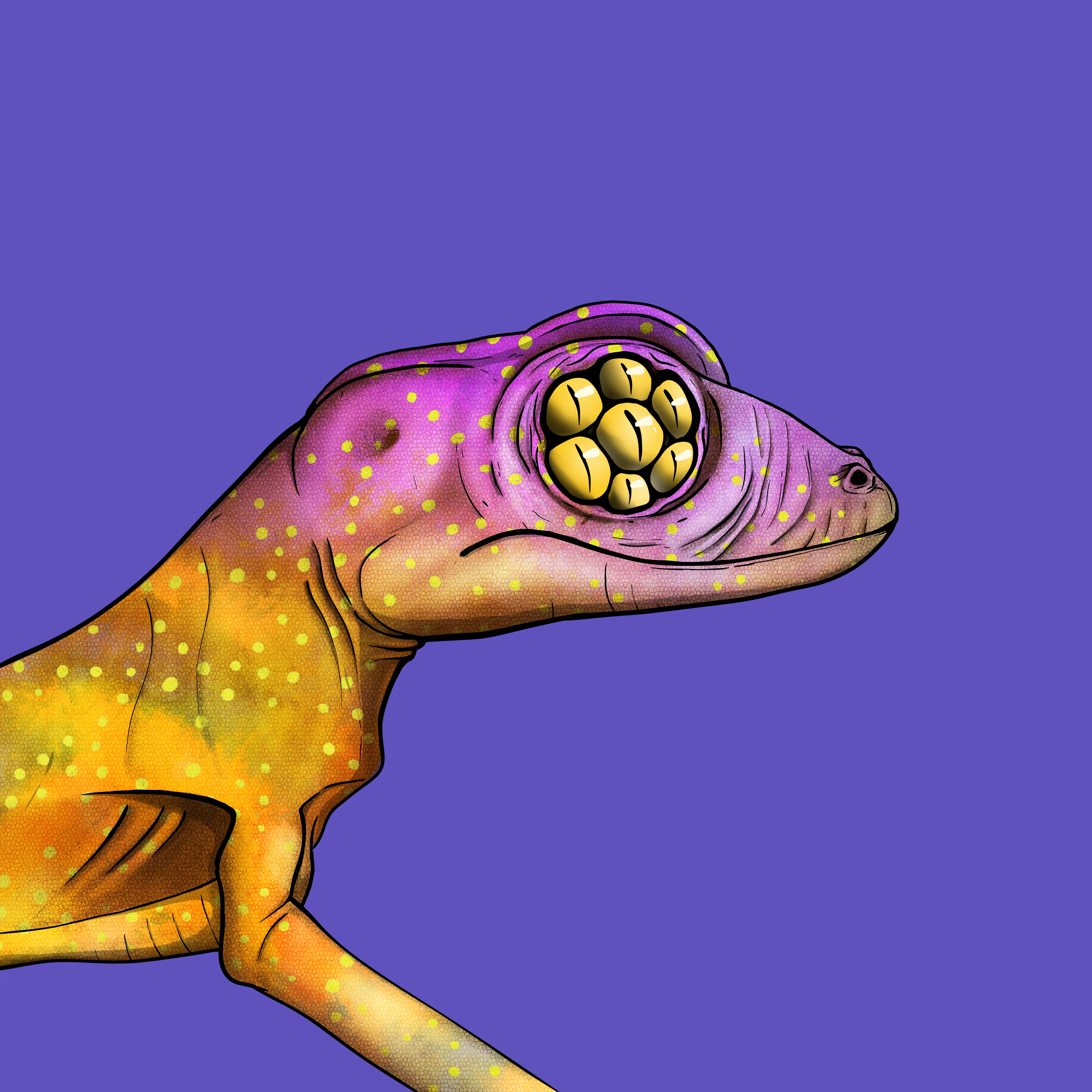 Geko 0476 NFT on Algorand