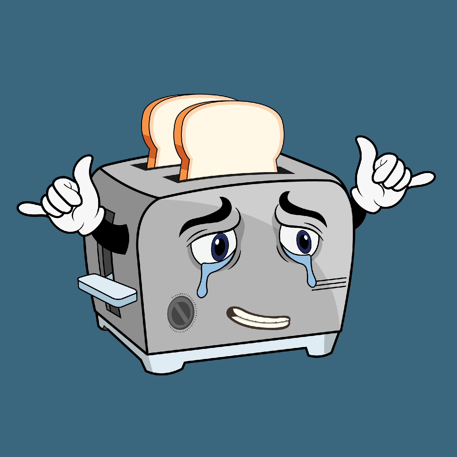 Long Term Appliance 1980