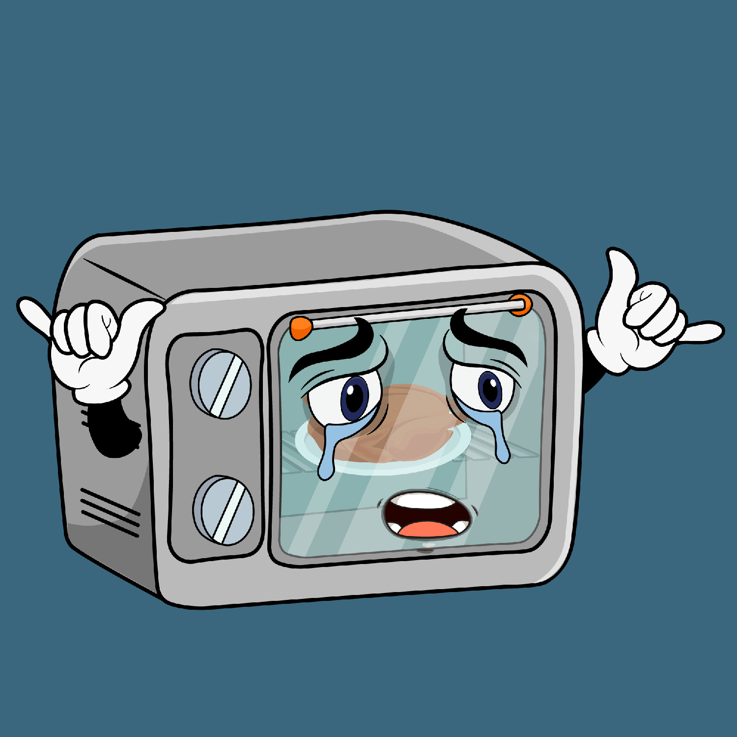 Long Term Appliance 2065