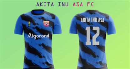 Akita Inu ASA FC Home kit #12