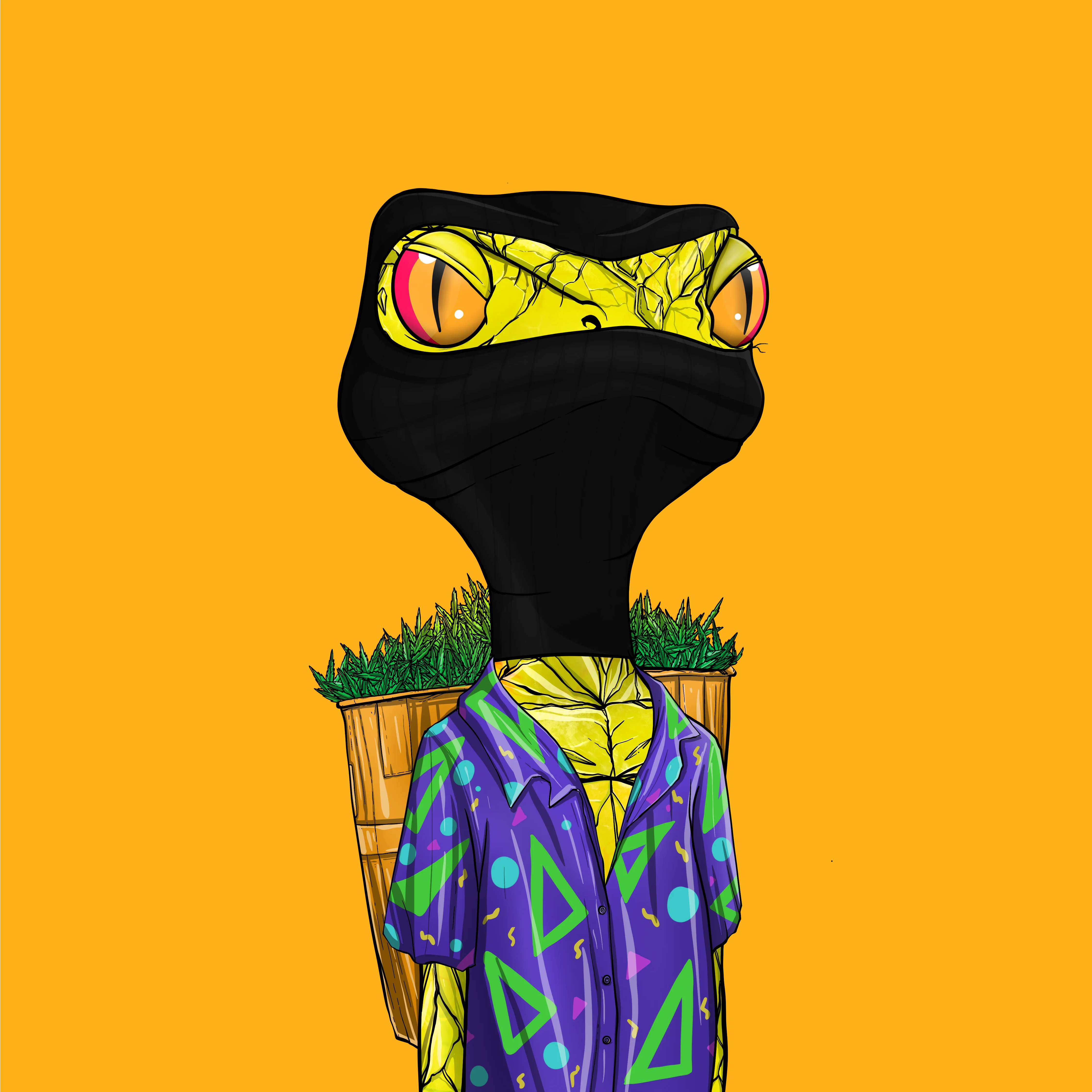 MIA #3721 NFT on Algorand