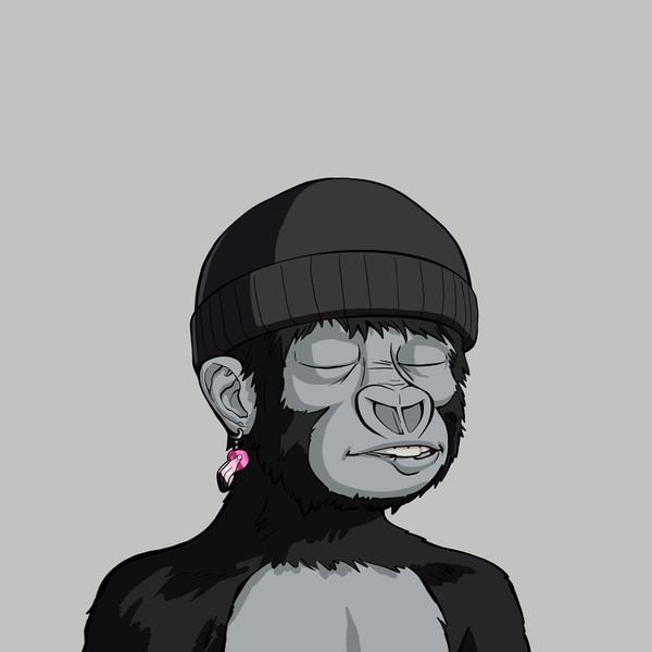 An image of Haramboi #25