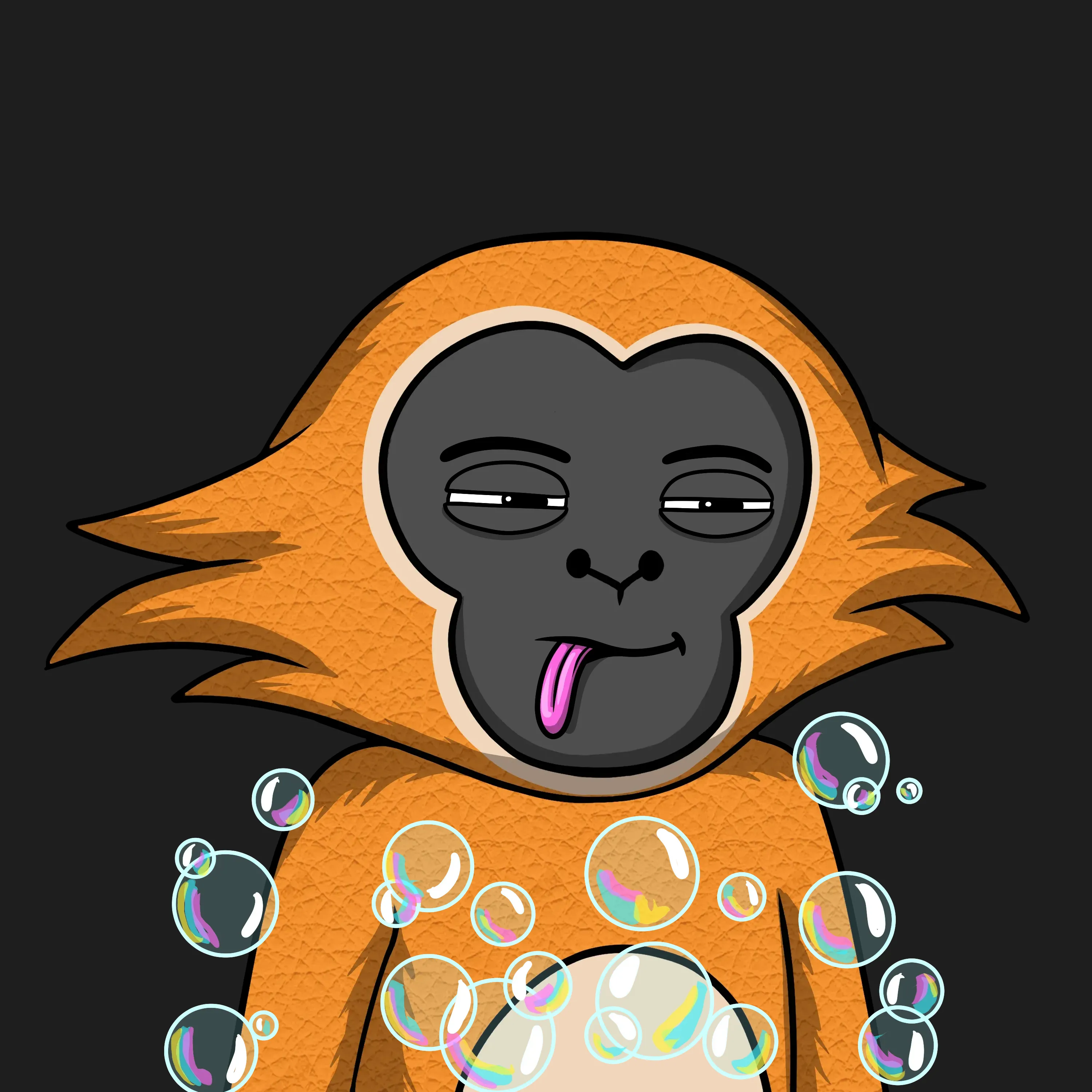 WOOP #491 NFT on Algorand