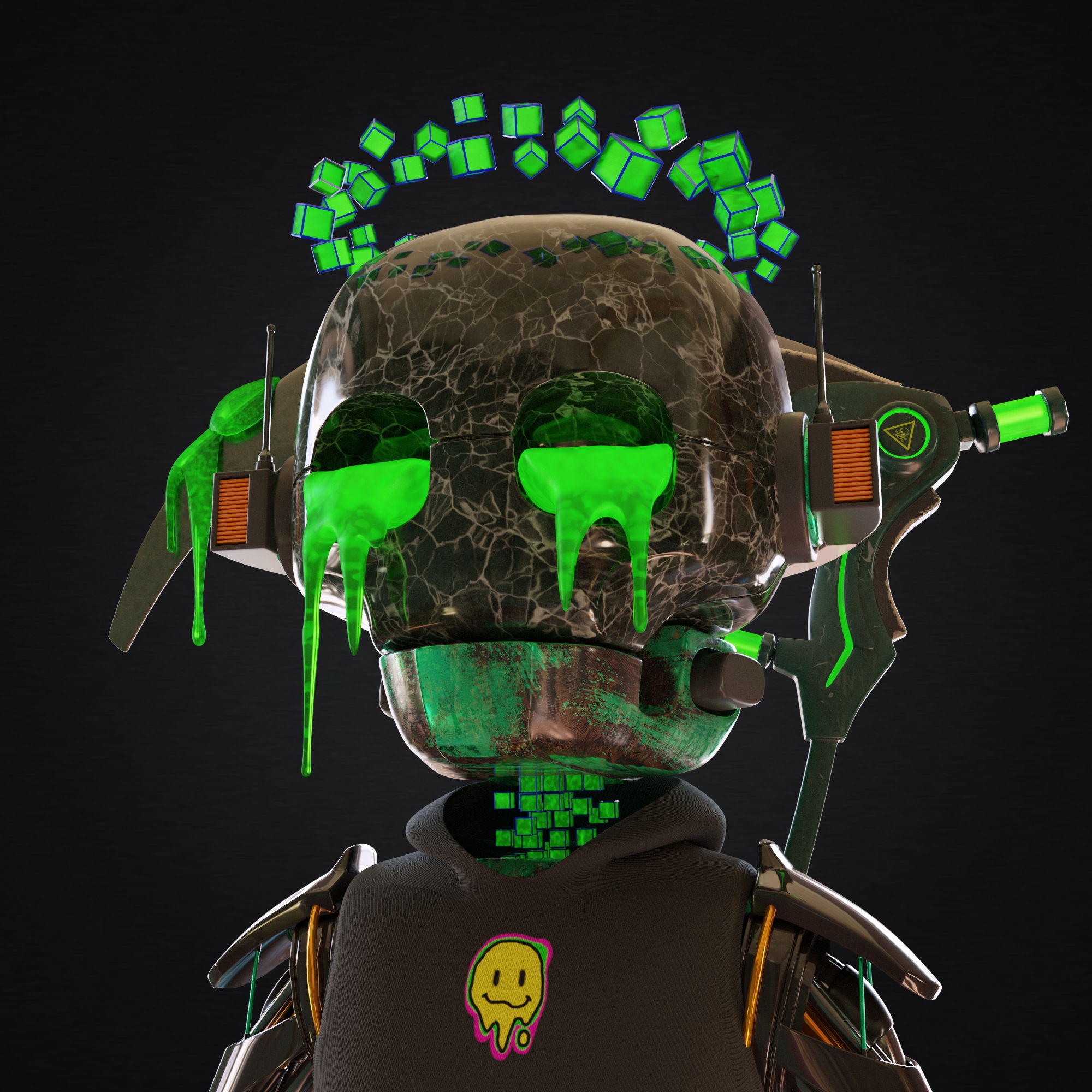 Hoimaiden #713 NFT on Algorand