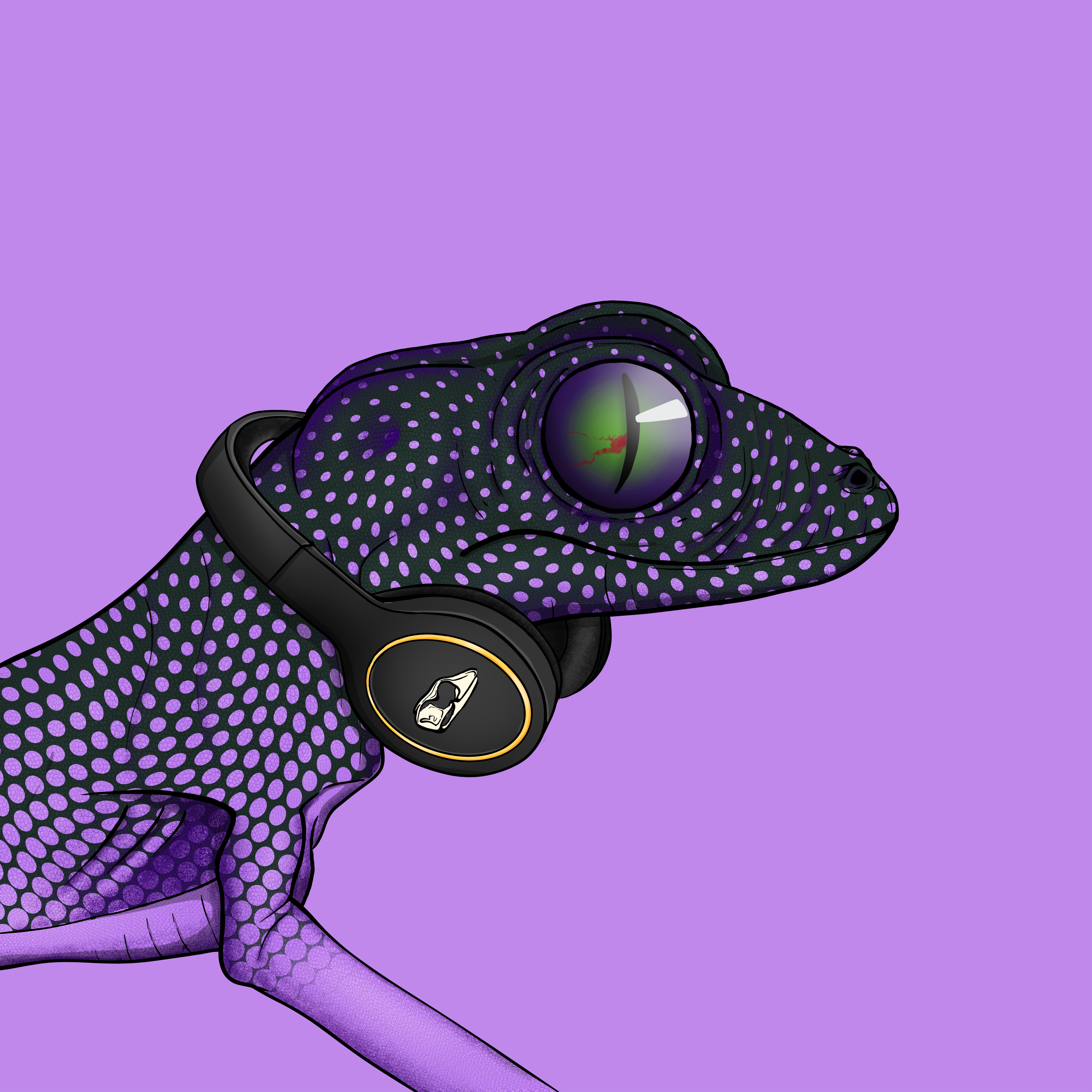 Geko 0555 NFT on Algorand