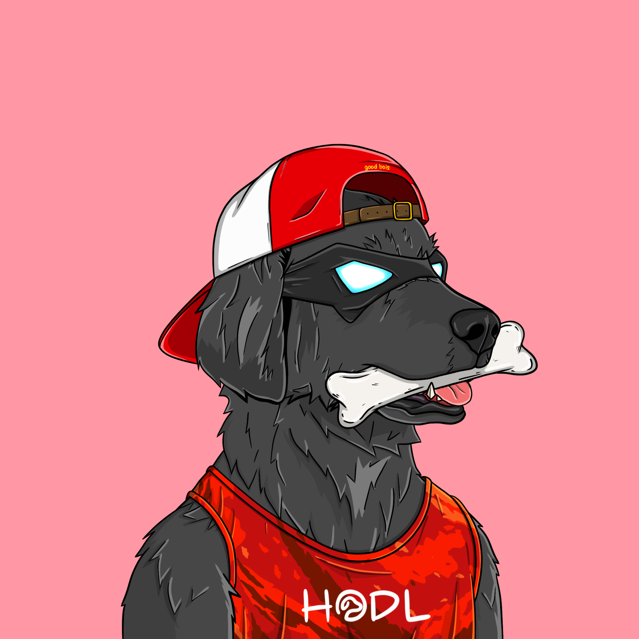 goodboi #0555 NFT on Algorand