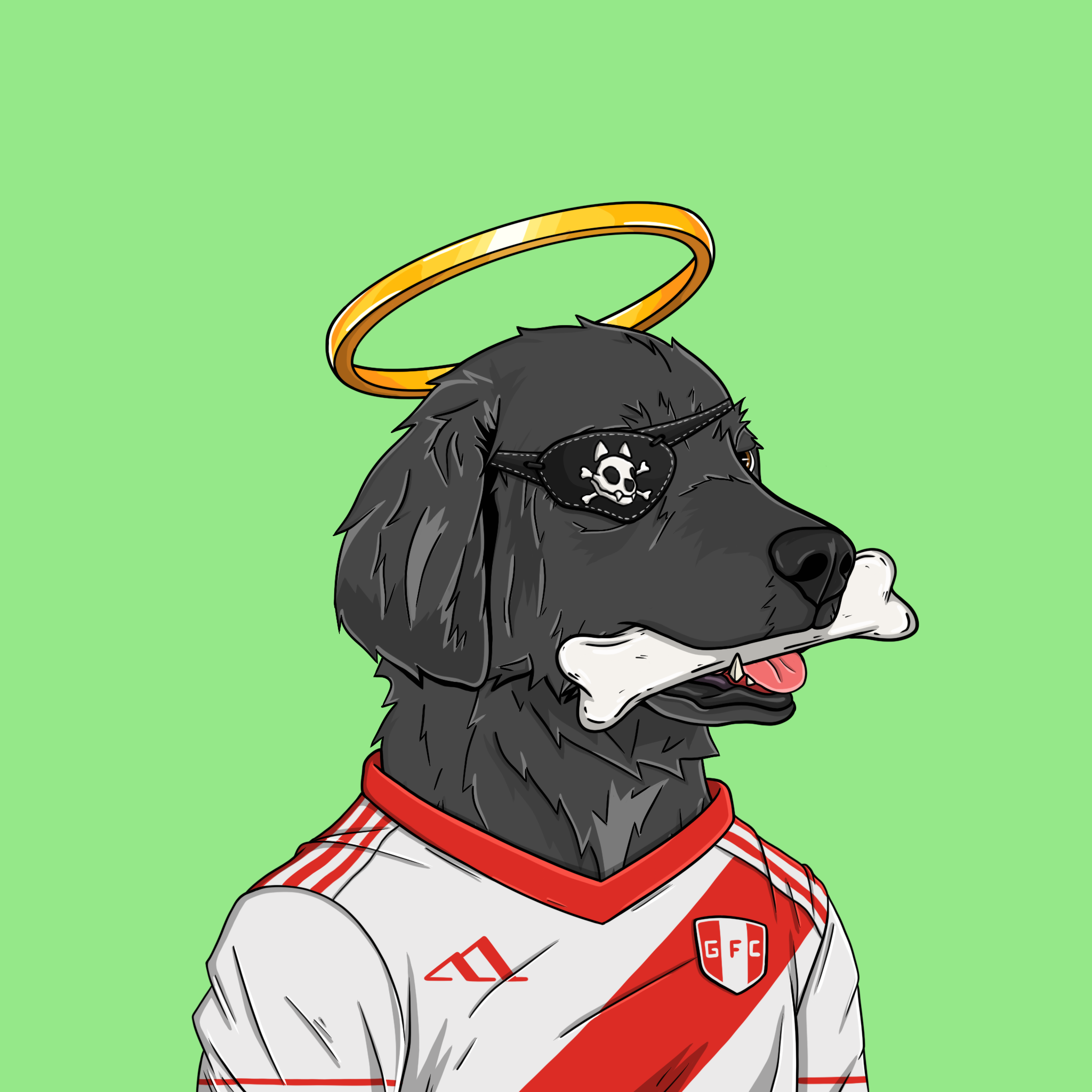 goodboi #0780 NFT on Algorand