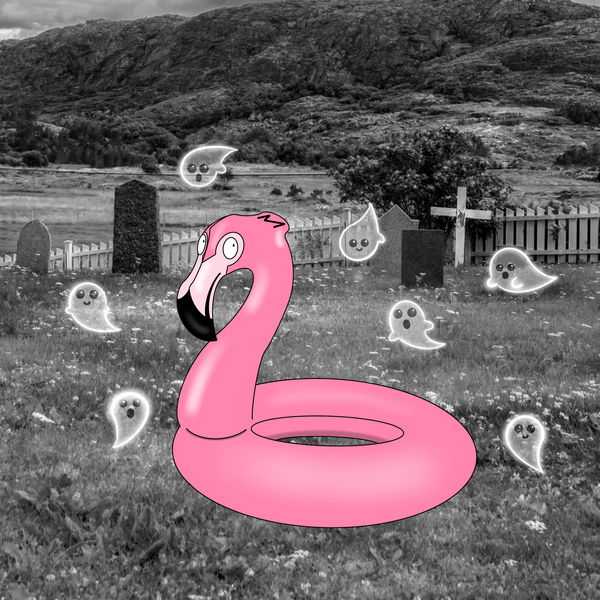 Image of Flamingo Adventures #24