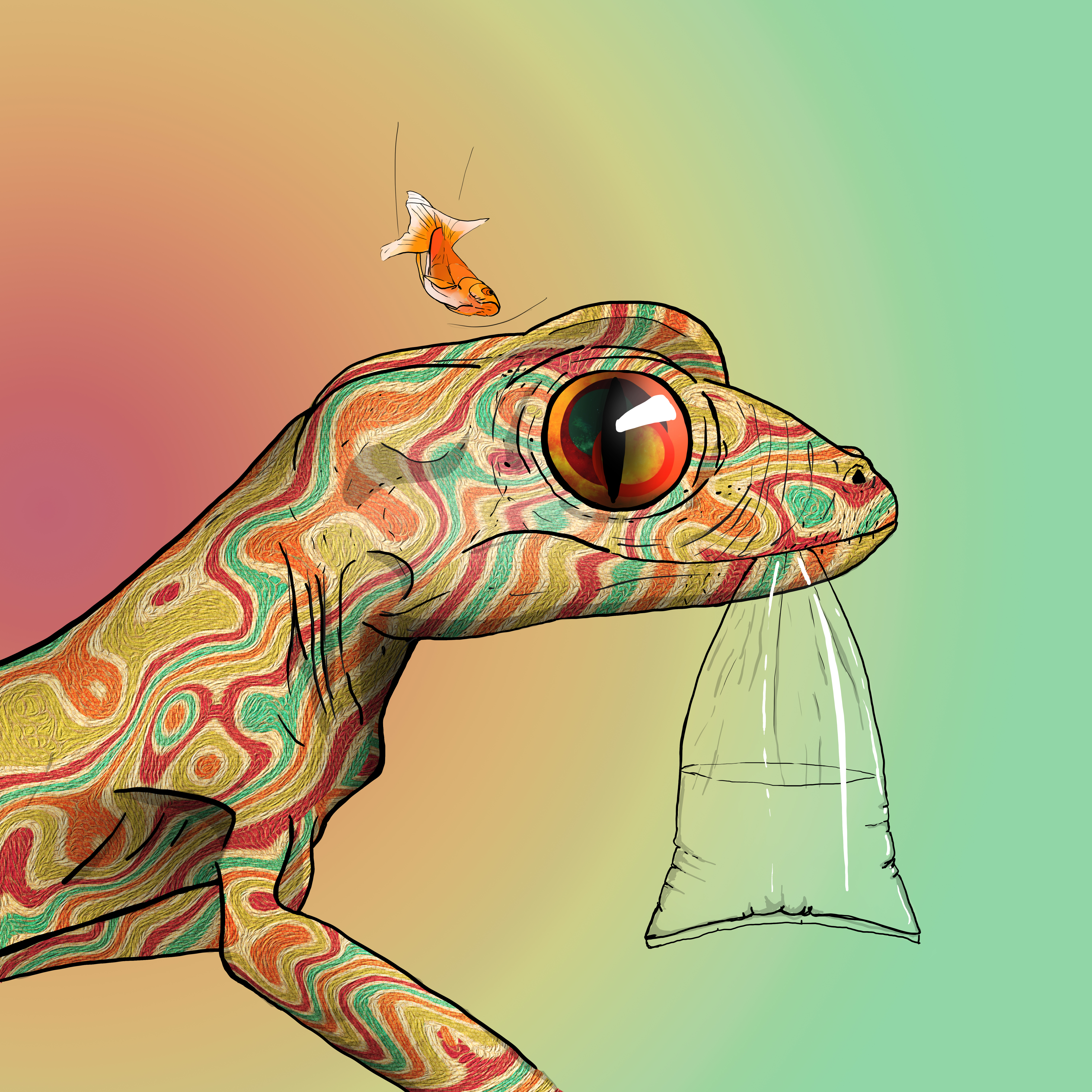 Geko 0246 NFT on Algorand