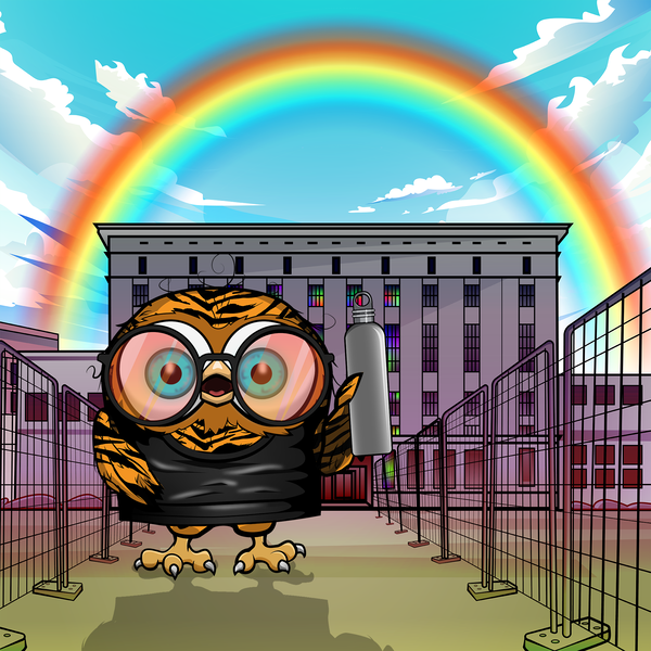 Image of cryptOOwl 027