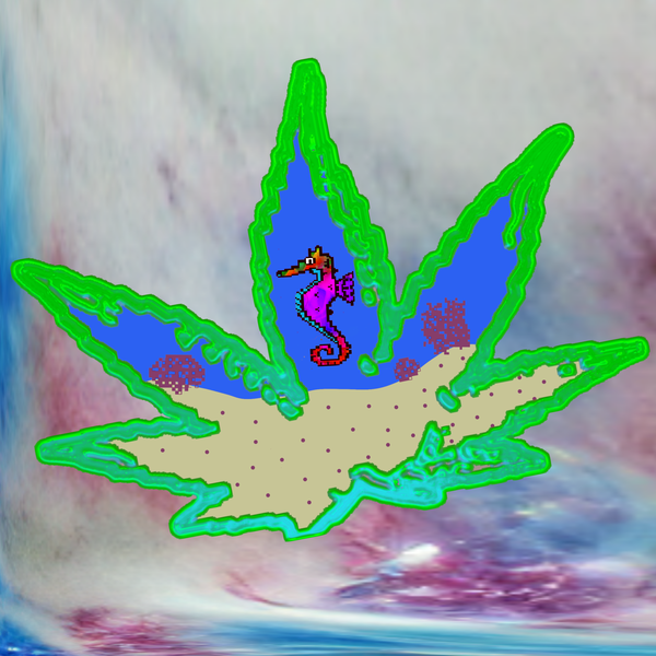 An image of Acid Algo Seahorse Army edition