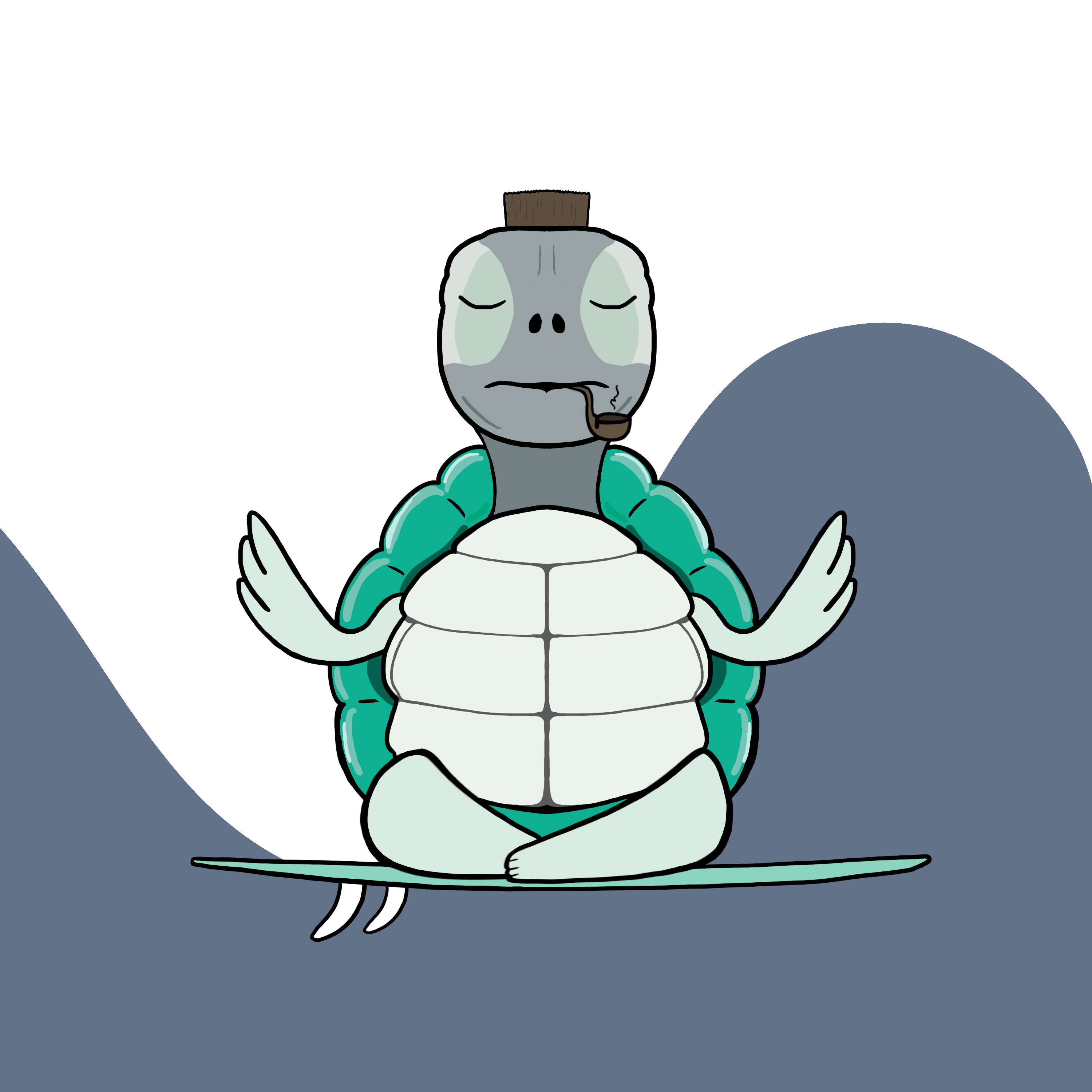 Zen Turtle 0071 NFT on Algorand