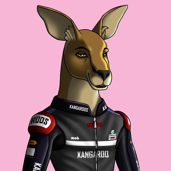 An image of AlgoKangaroo #23