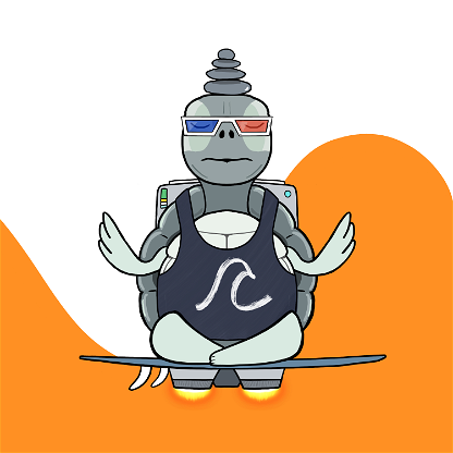 Zen Turtle 0095