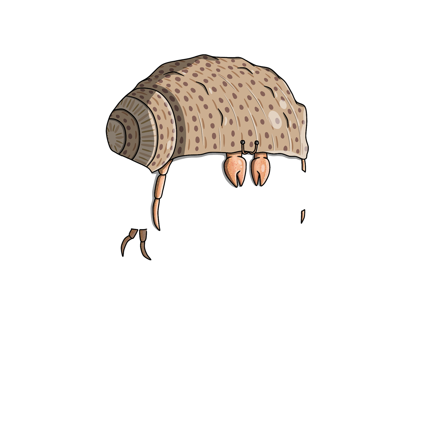 Hermit Hat NFT on Algorand