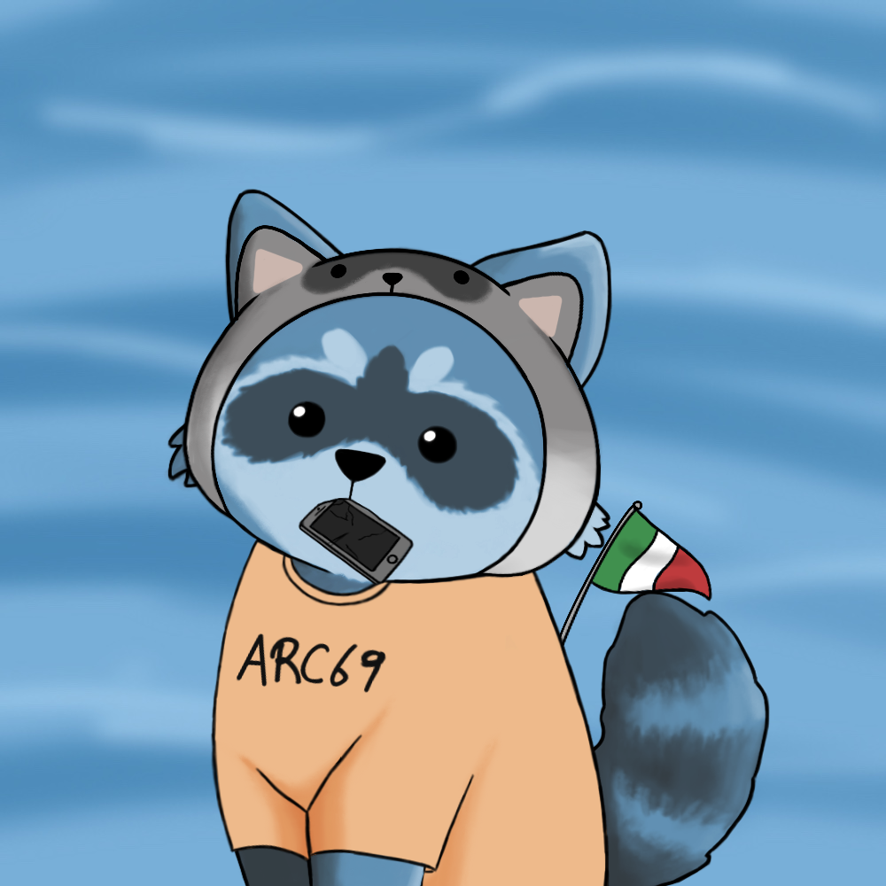 Raccoon #155 NFT on Algorand