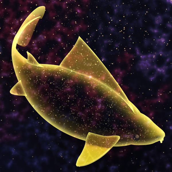 Image of AOShark 030