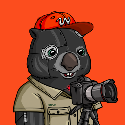 Wildlife Warrior Wombat #529
