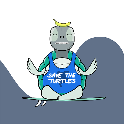 Zen Turtle 0148