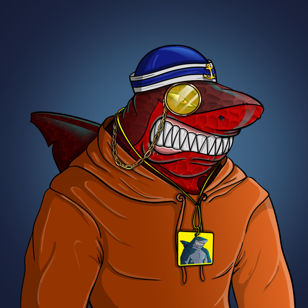 Image of AlgoShark #64