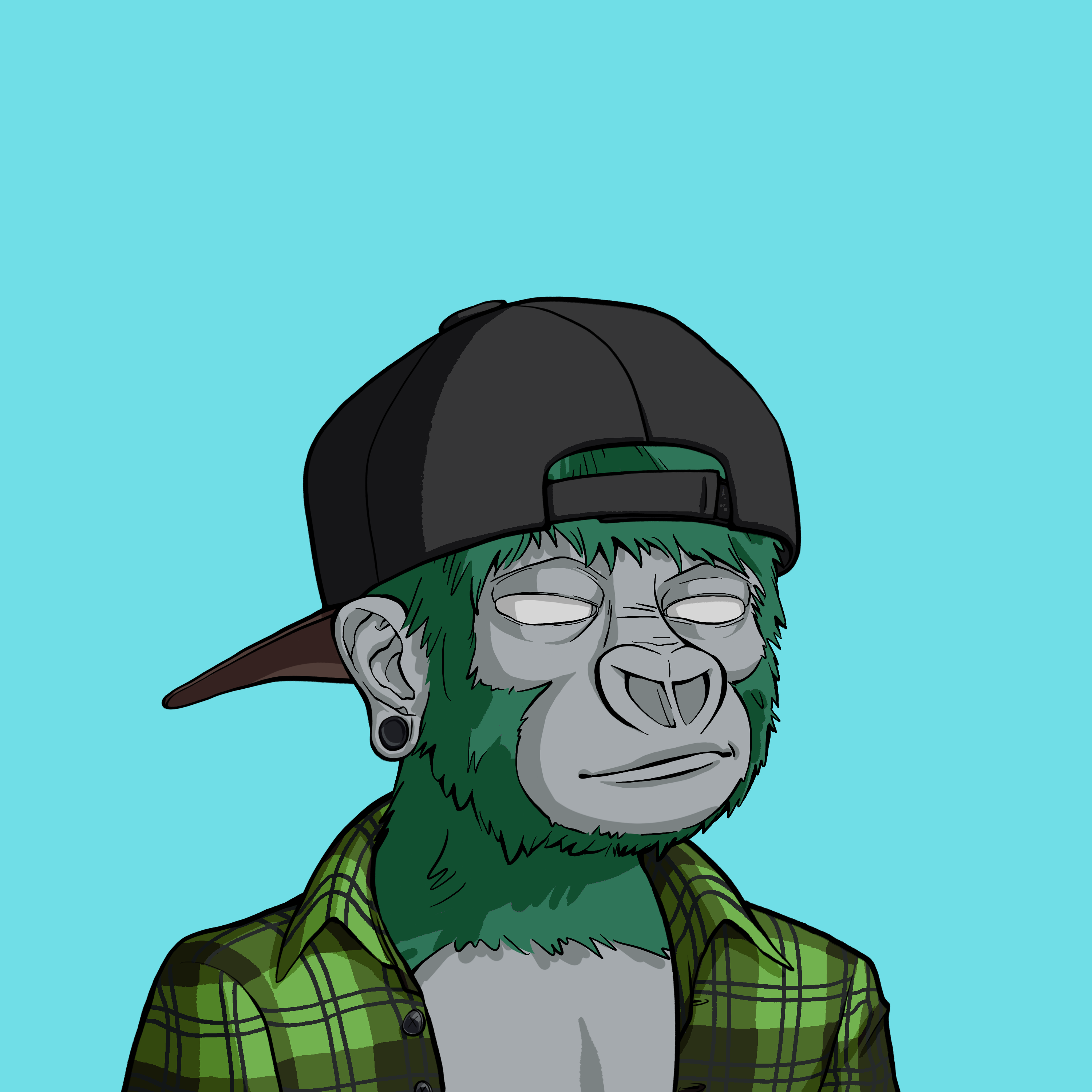 Haramboi #568 NFT on Algorand