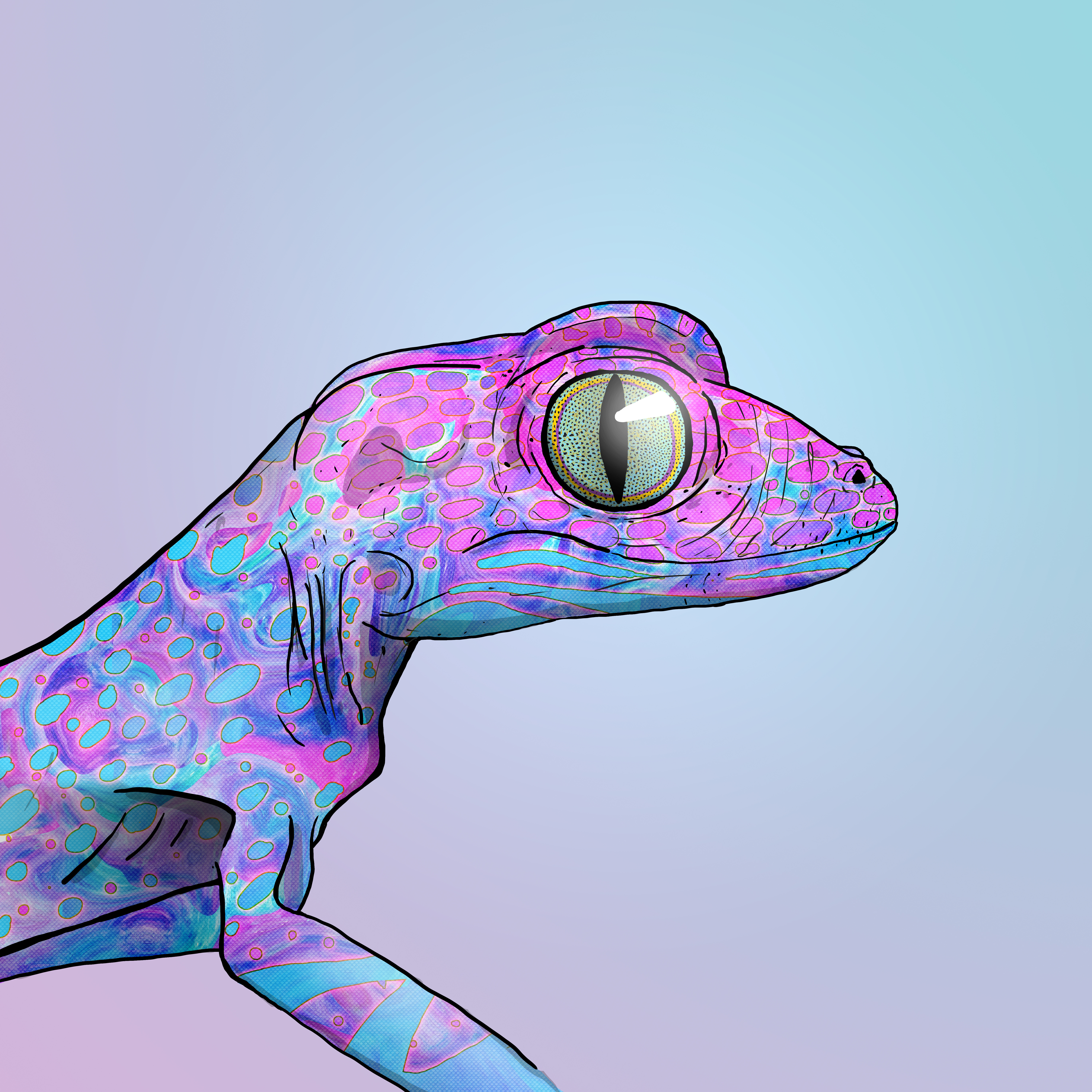 Geko 0162 NFT on Algorand