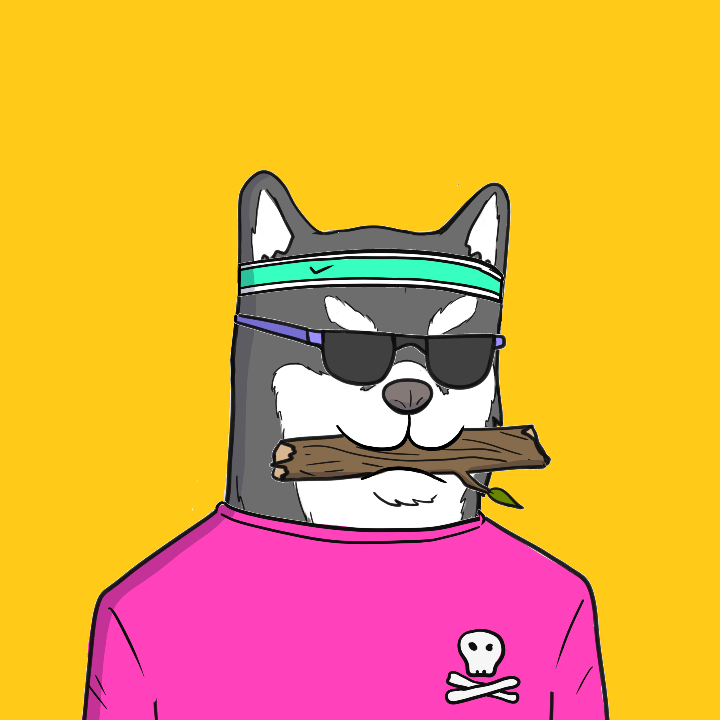 ALGORIAN DOGS #34 NFT on Algorand