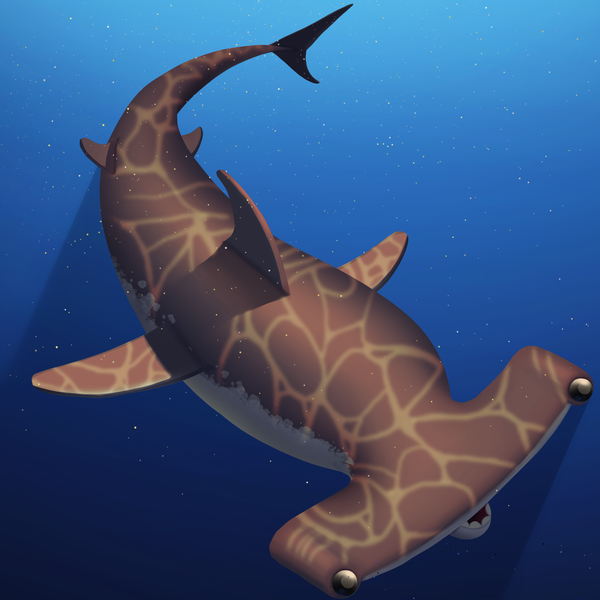 An image of AOShark 013