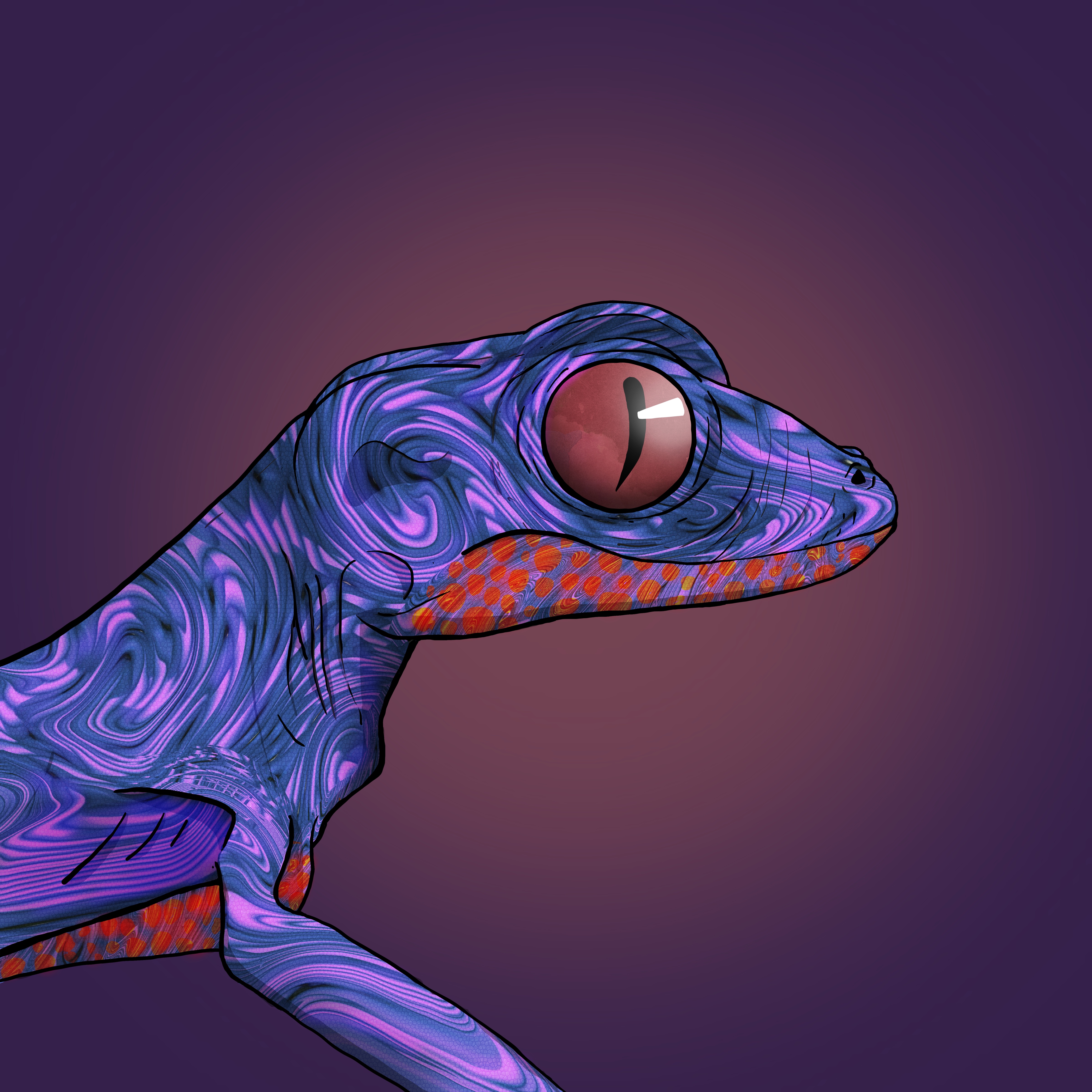 Geko 0333 NFT on Algorand