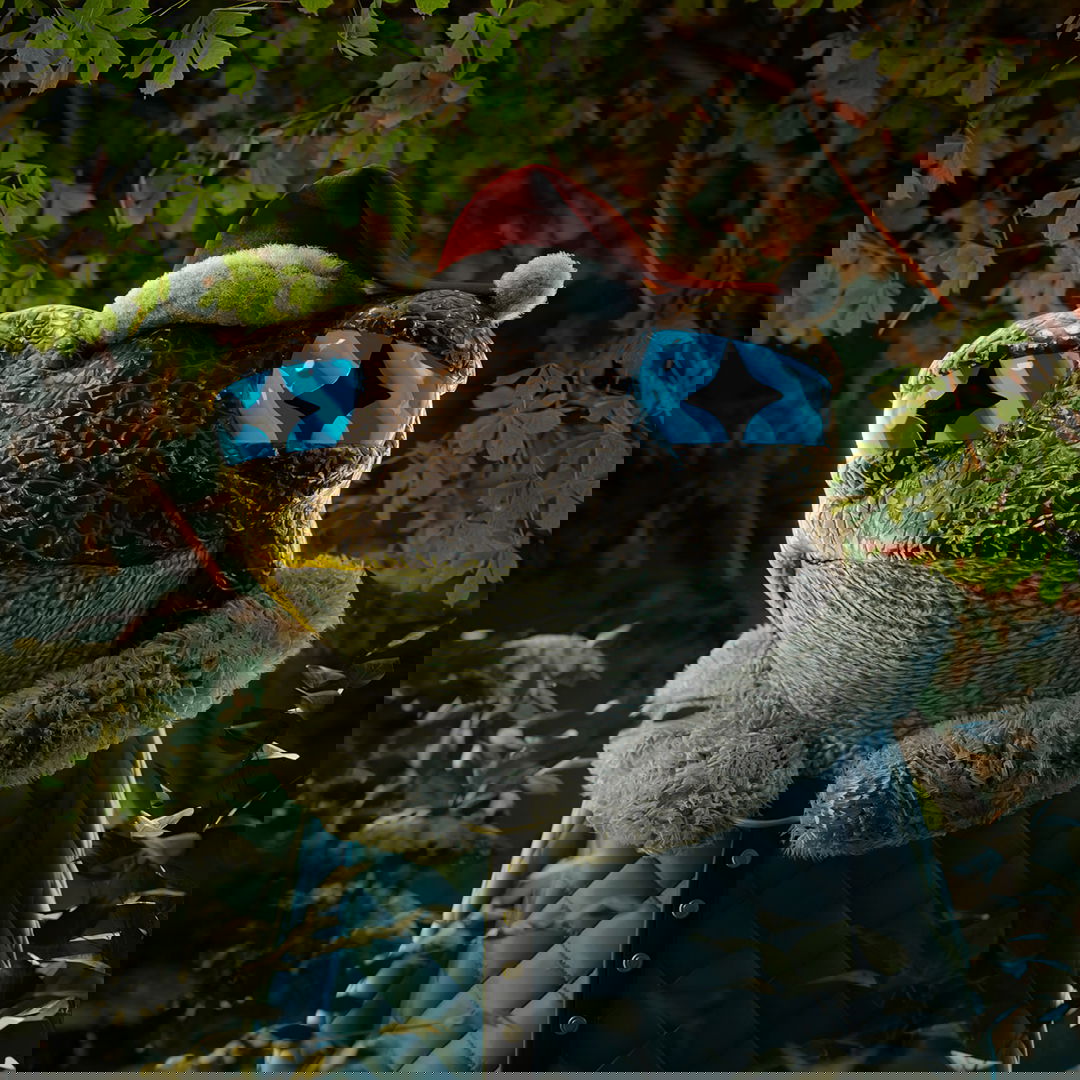 knitH3D 205 NFT on Algorand