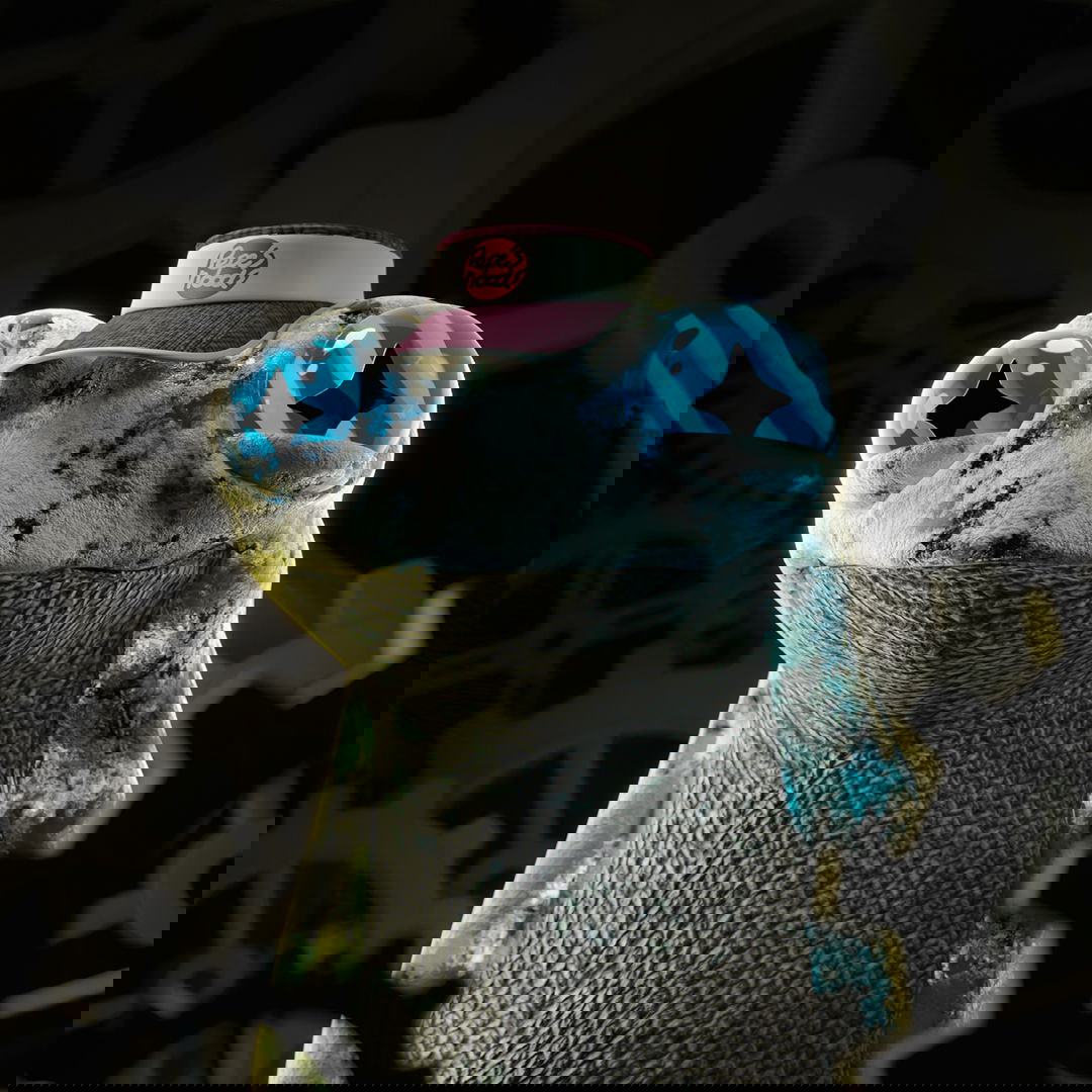 knitH3D 227 NFT on Algorand