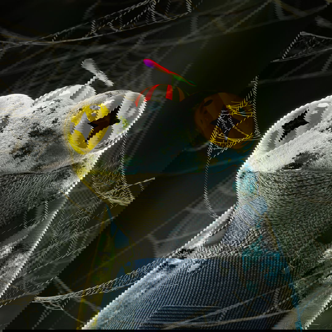 knitH3D 243 NFT on Algorand